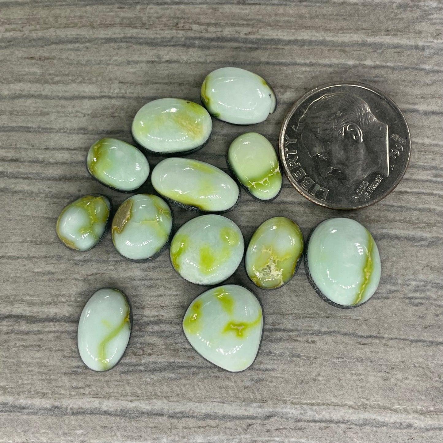 Palomino Minis