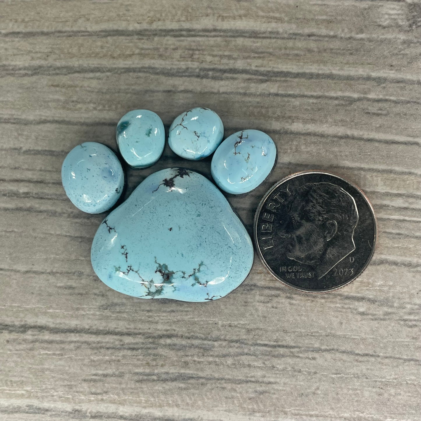 Golden Hill Paw