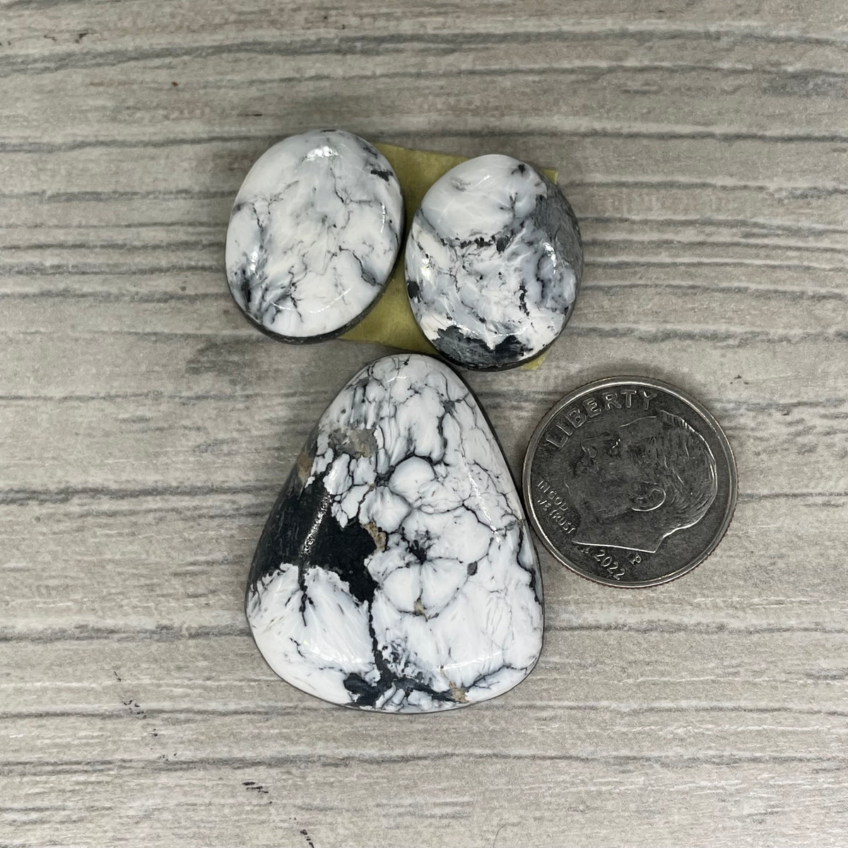 White Buffalo Set