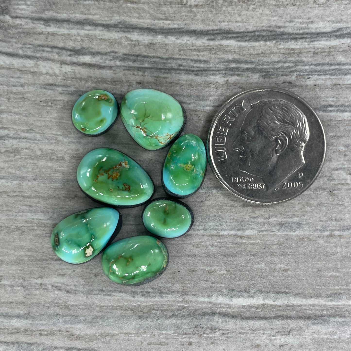 Sonoran Mountain Minis