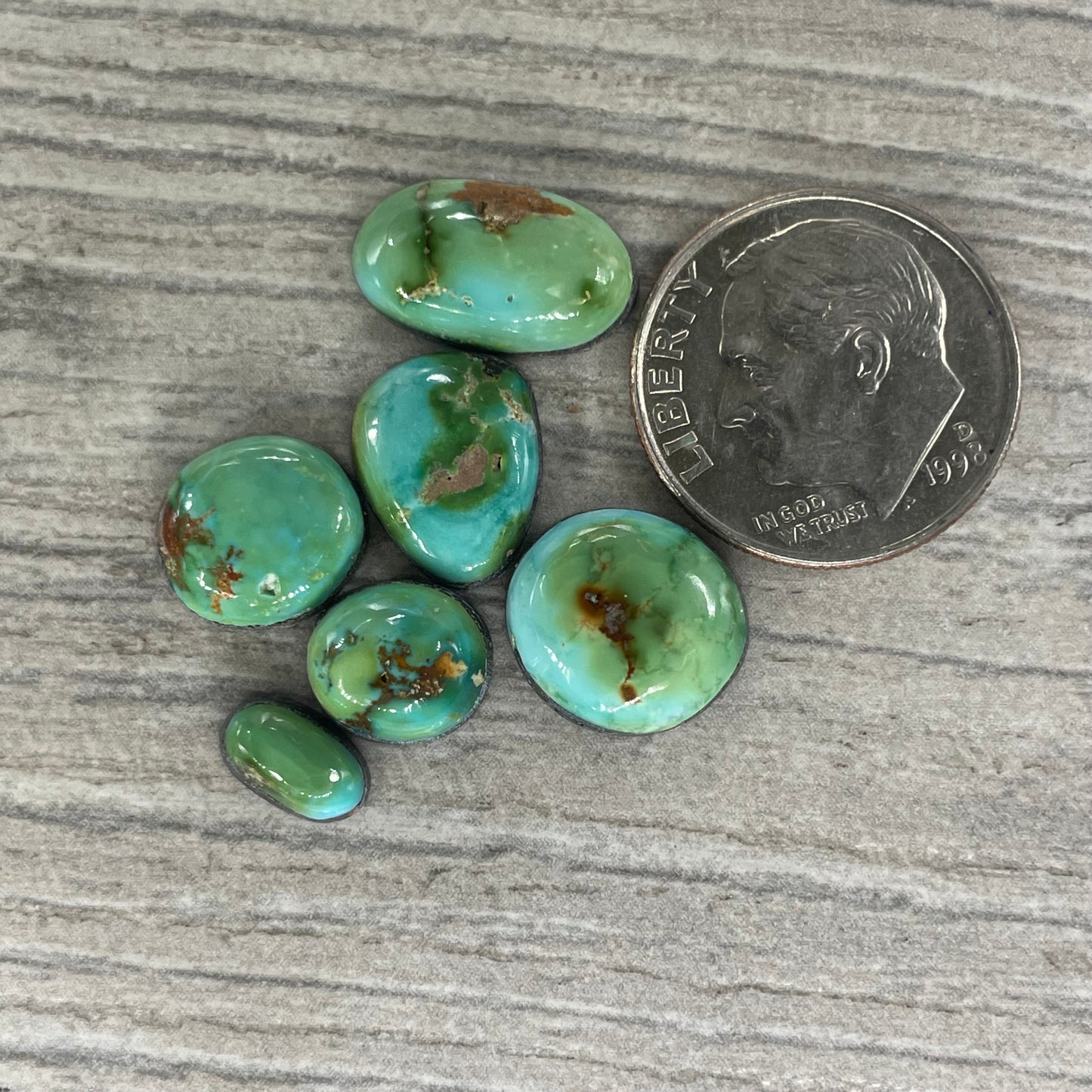 Sonoran Mountain Minis