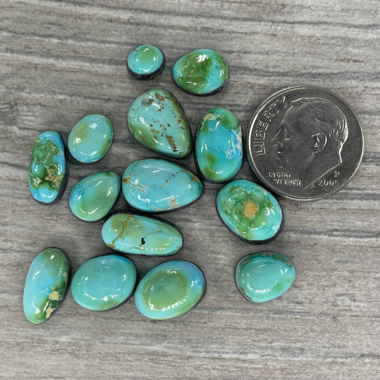 Sonoran Mountain Minis