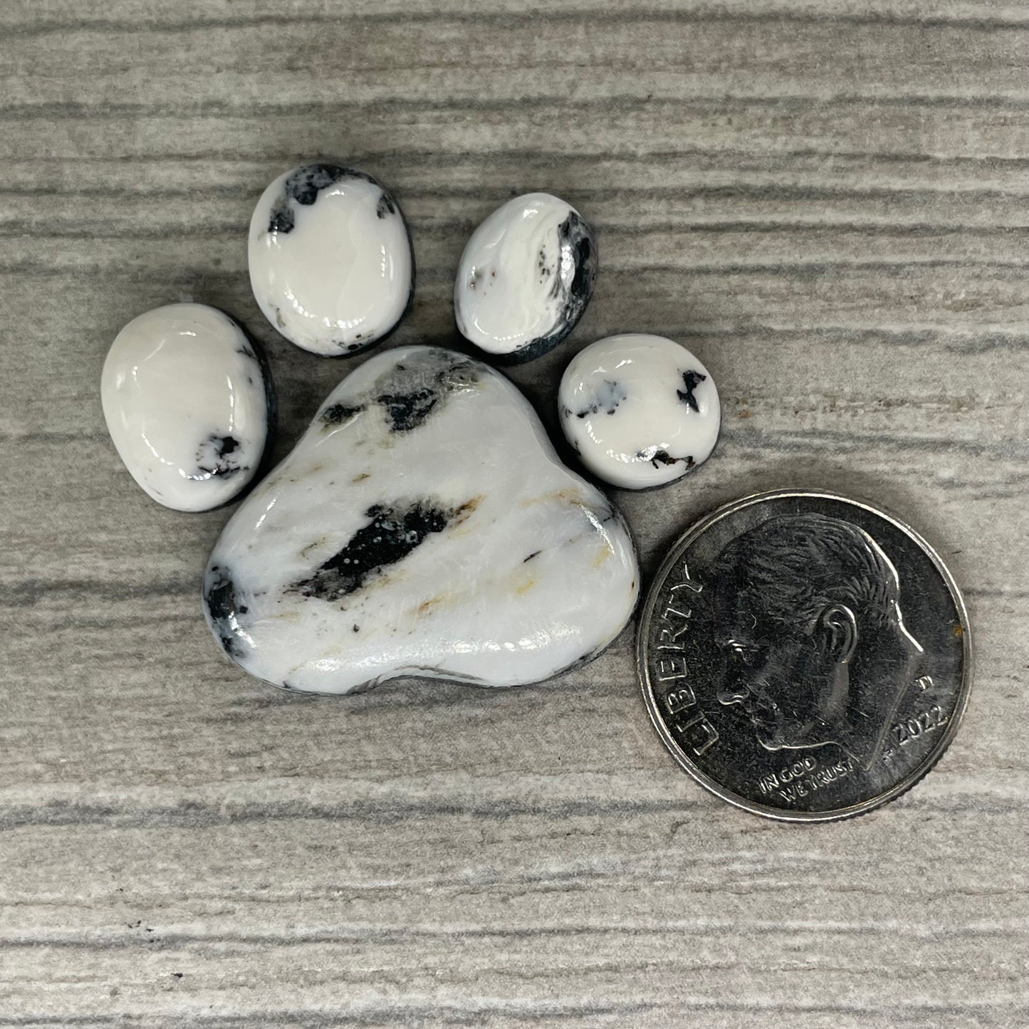 White Buffalo Paw