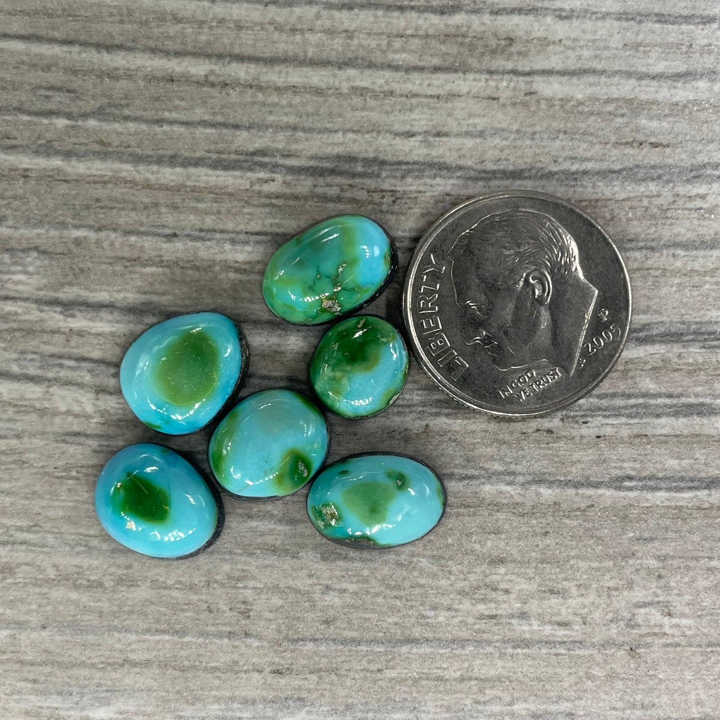 Sonoran Mountain Minis