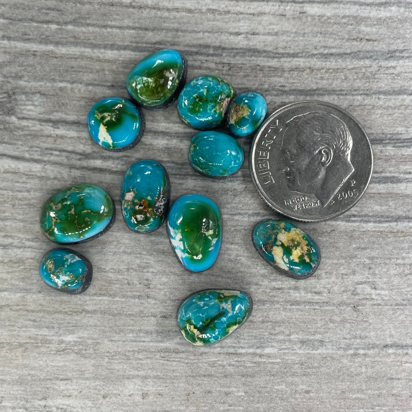 Sonoran Mountain Minis