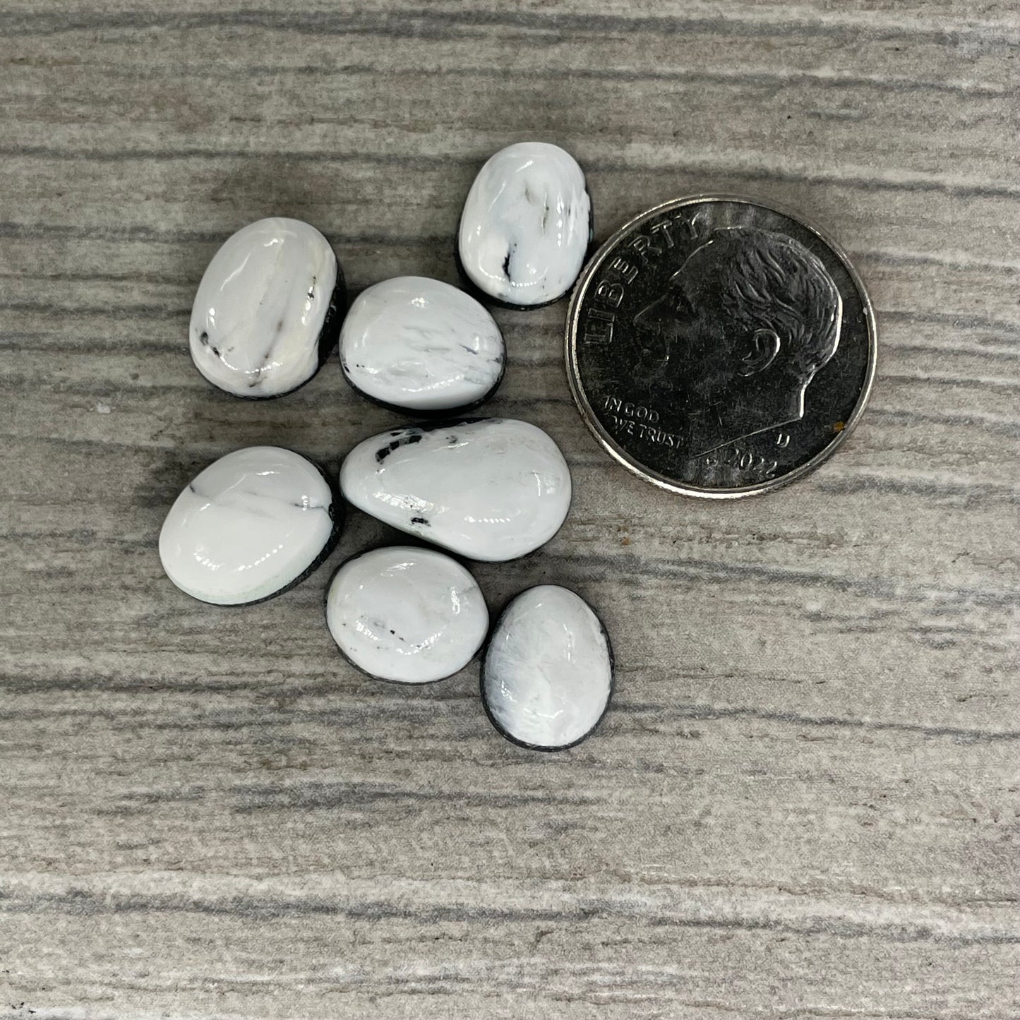 White Buffalo Minis
