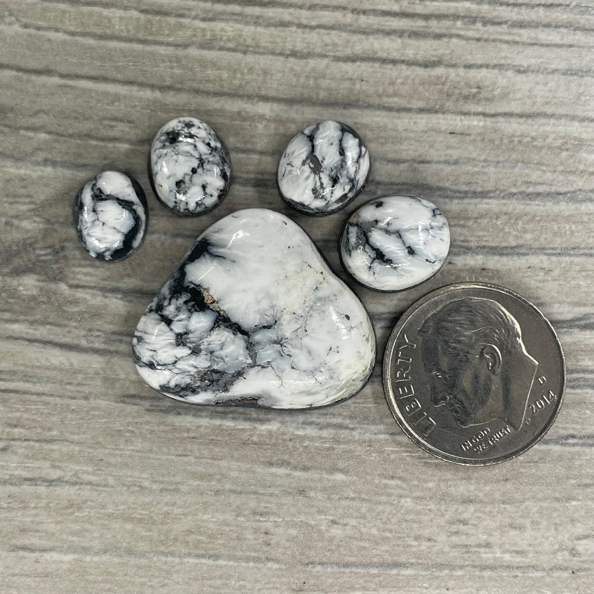 White Buffalo Paw