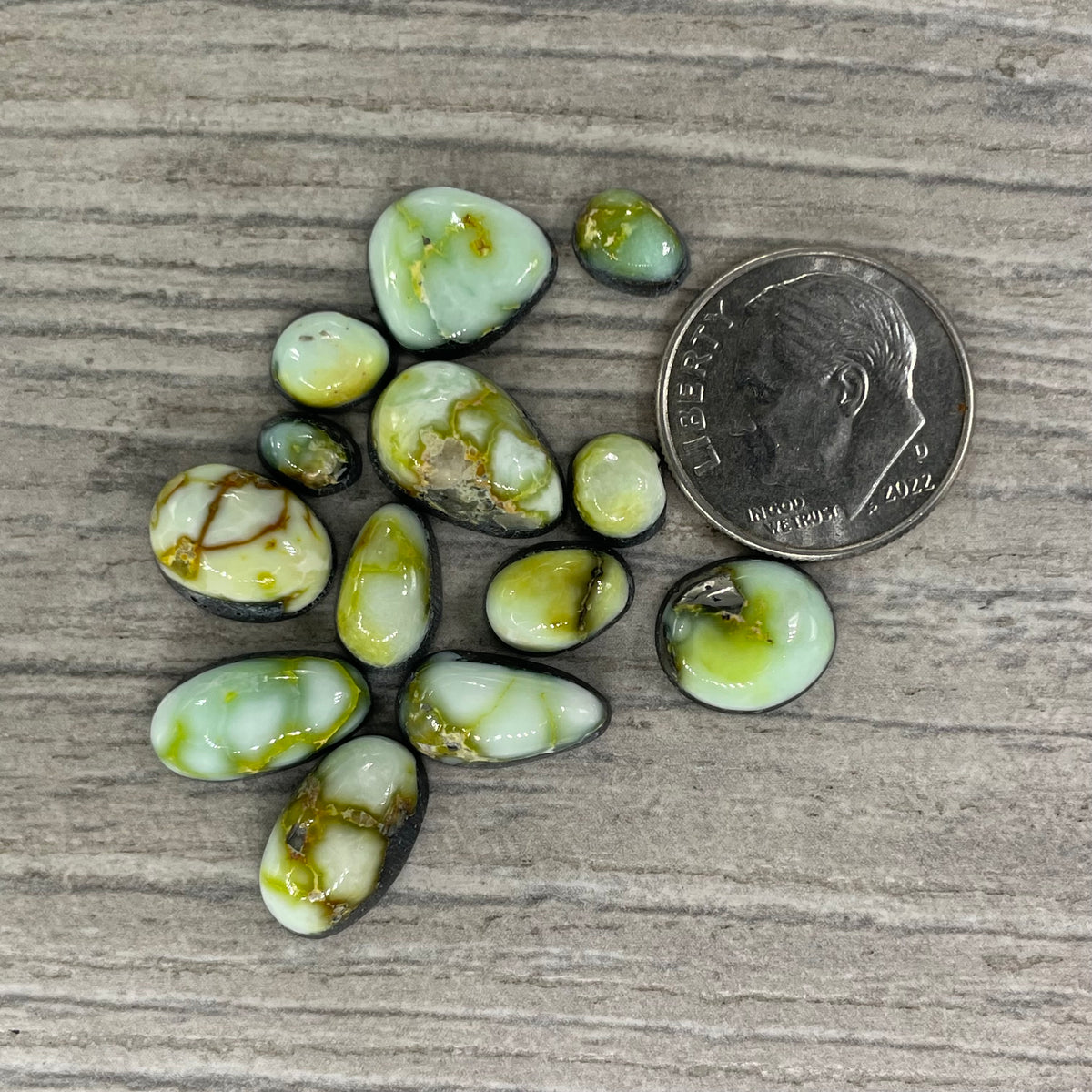 Palomino Minis