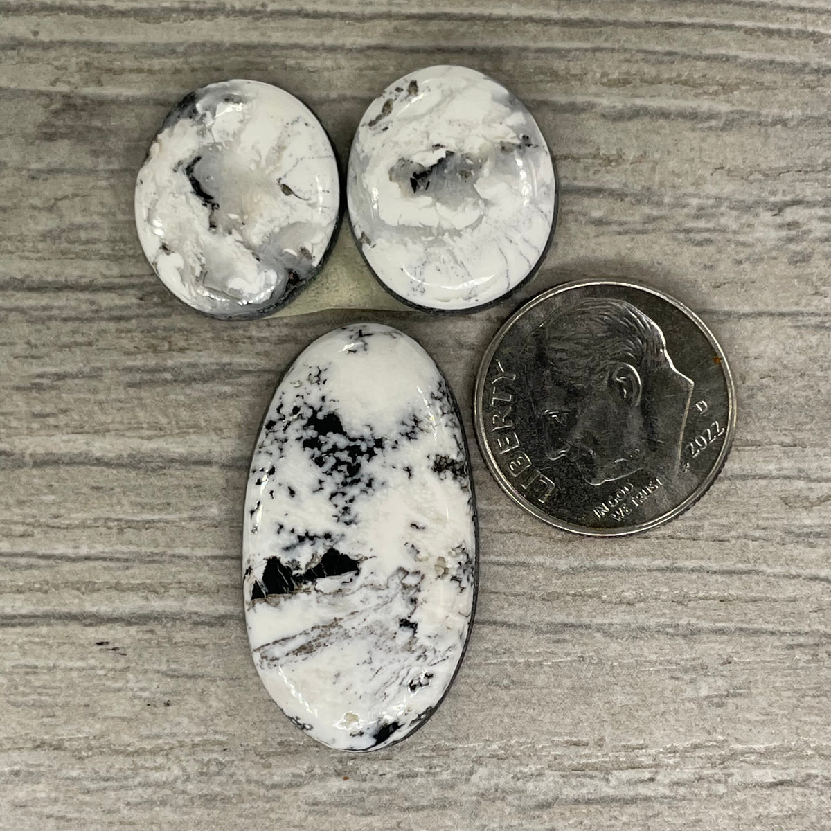 White Buffalo Set