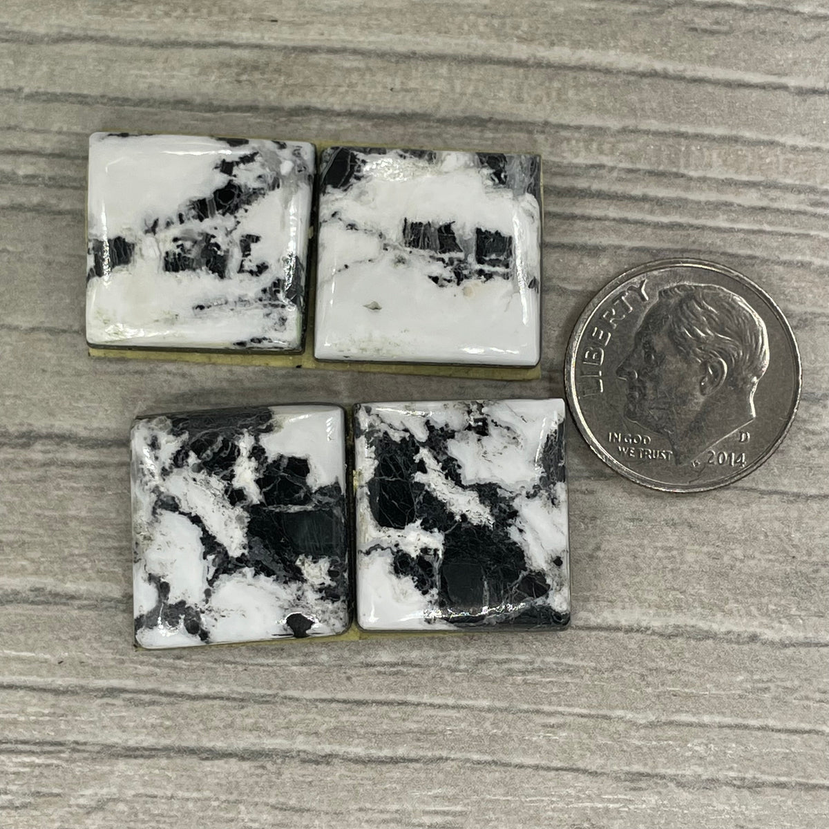 White Buffalo Earring Pairs