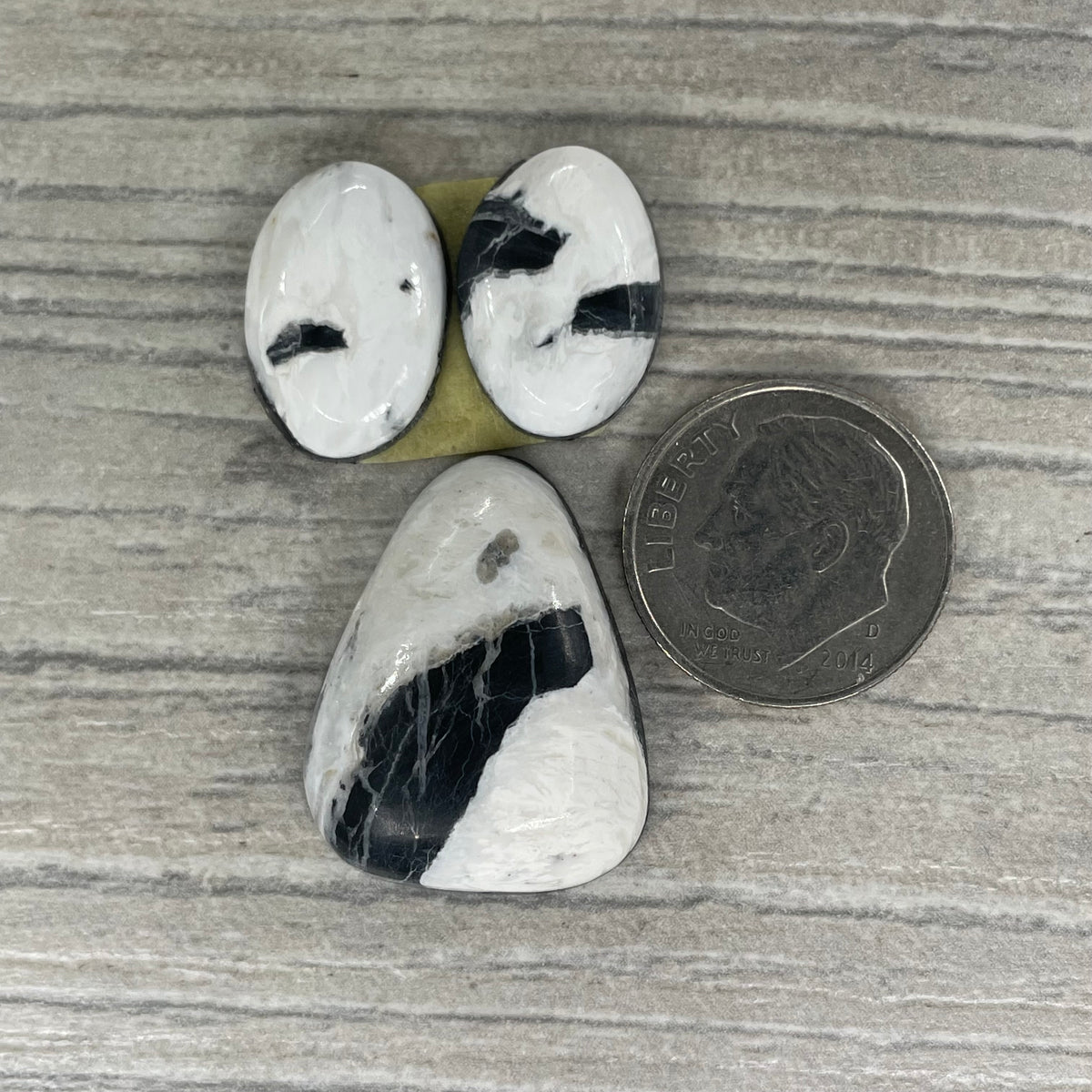 White Buffalo Set