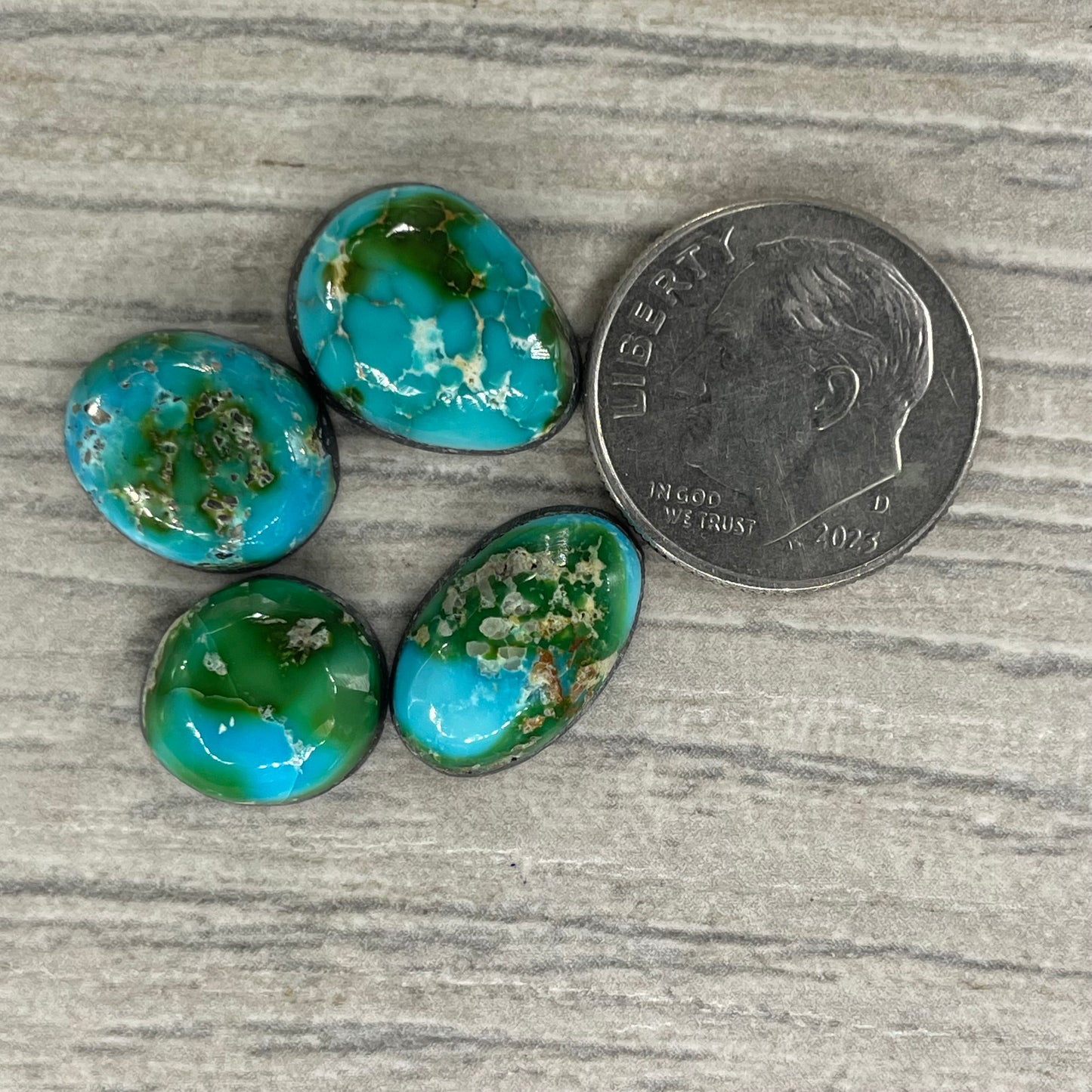 Sonoran Mountain Minis