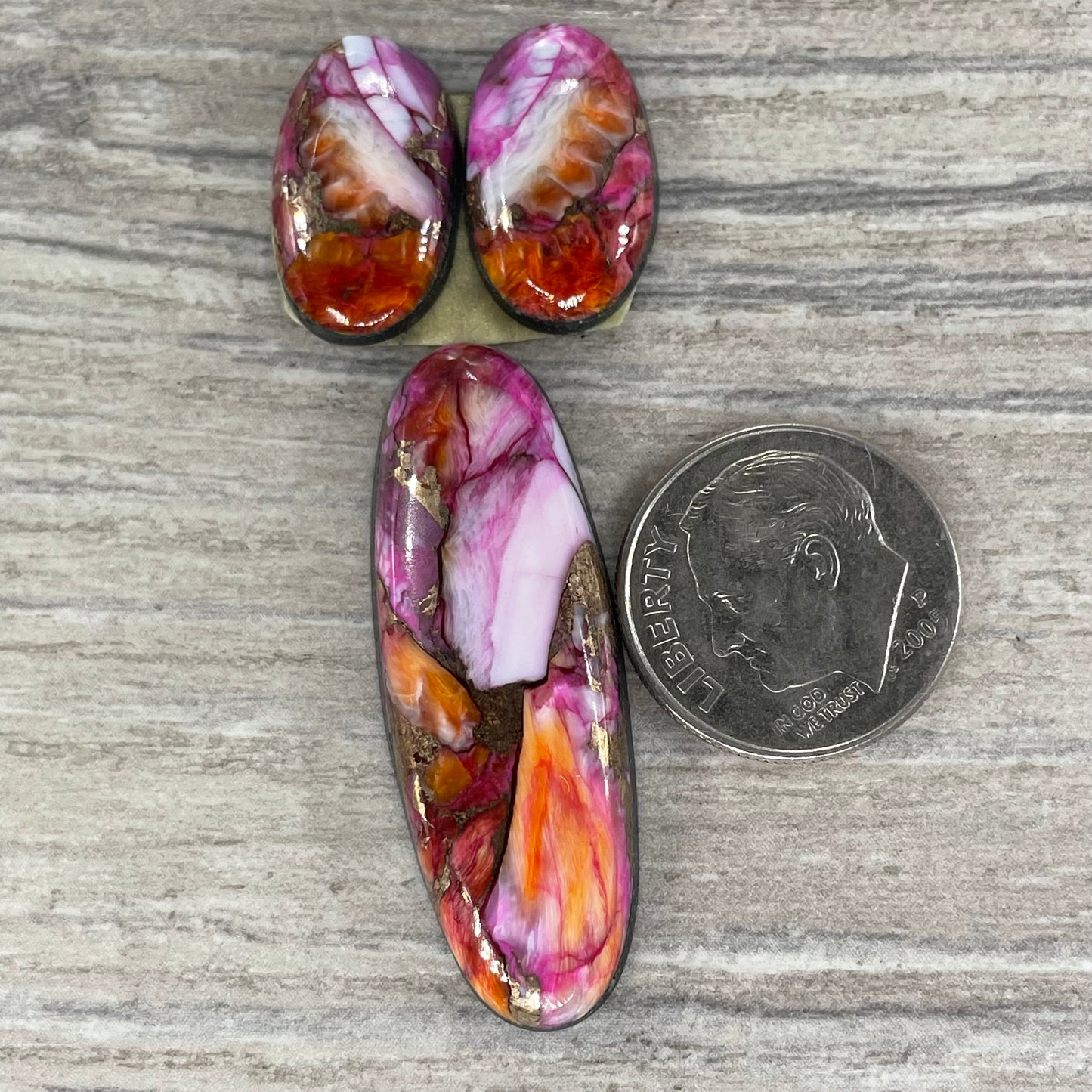 Starburst Spiny Oyster