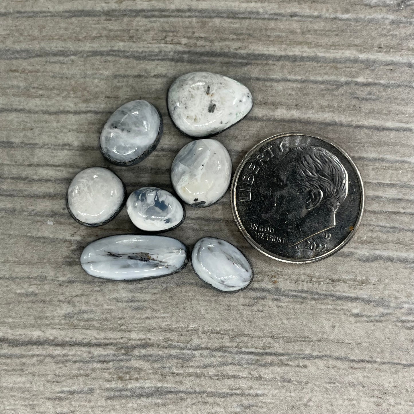 White Buffalo Minis