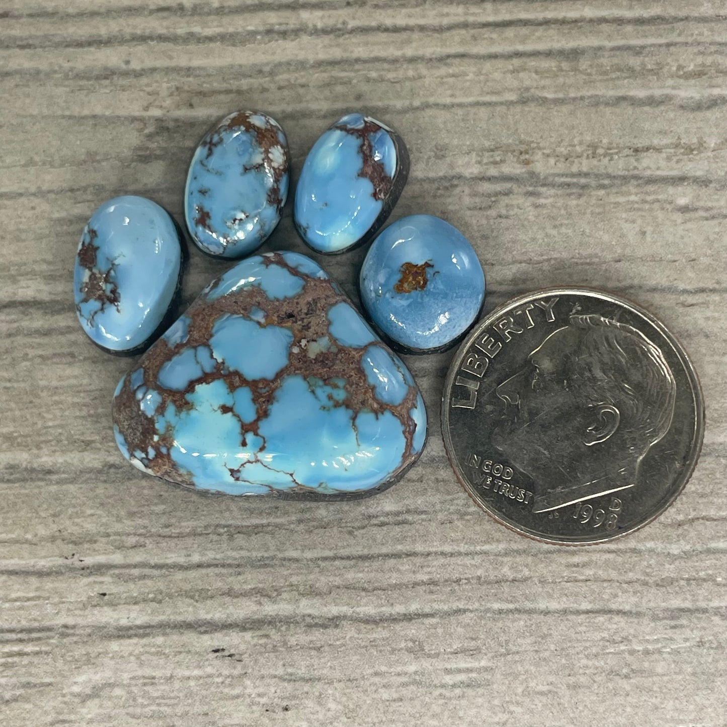 Golden Hill Paw