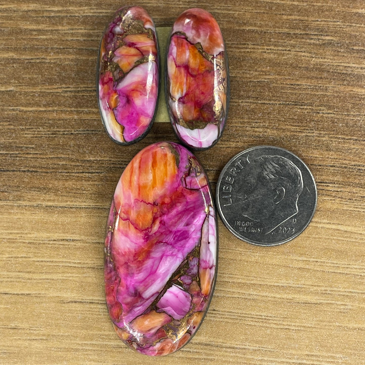 Starburst Spiny Oyster