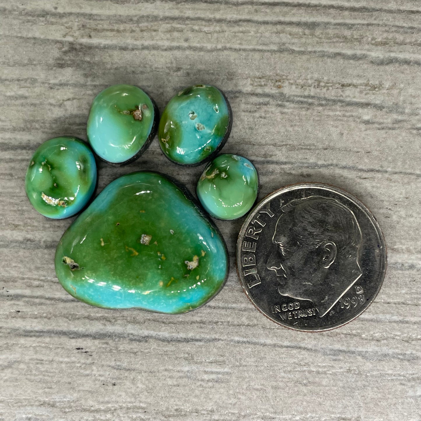 Sonoran Mountain Paw