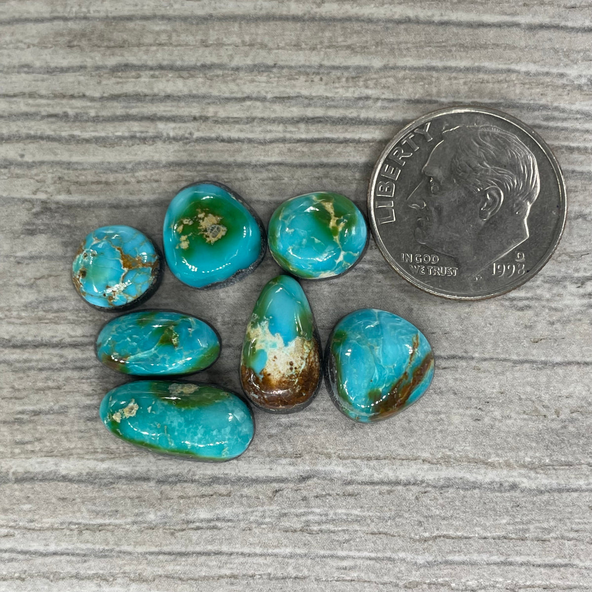 Sonoran Mountain Minis