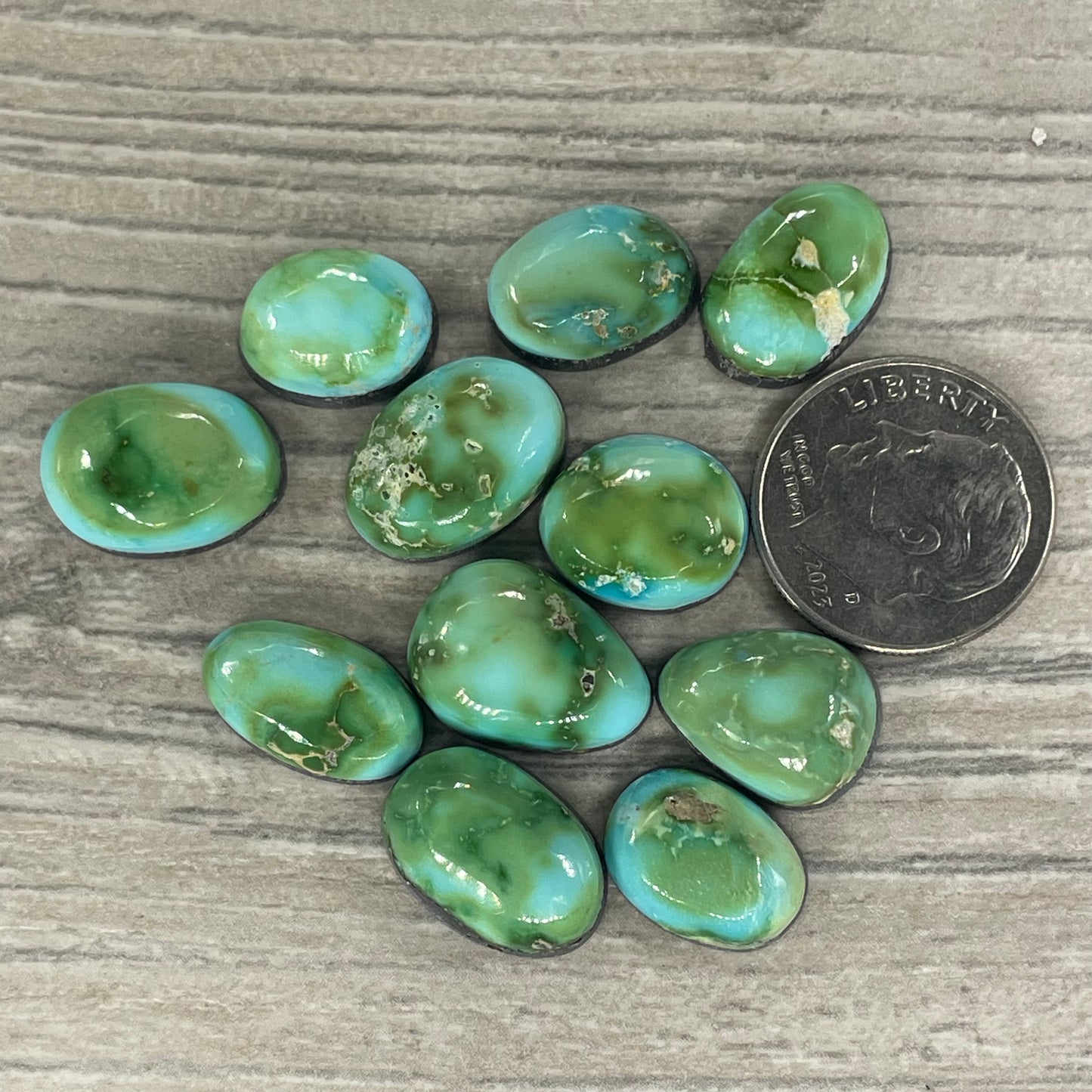 Sonoran Mountain Minis