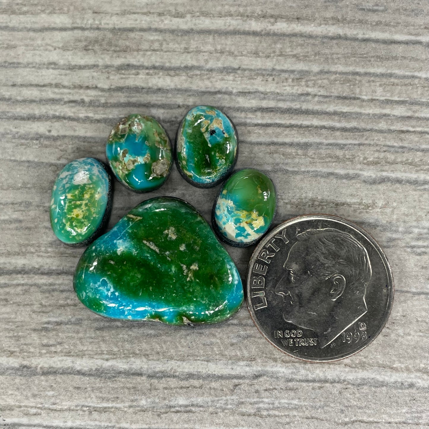 Sonoran Mountain Paw