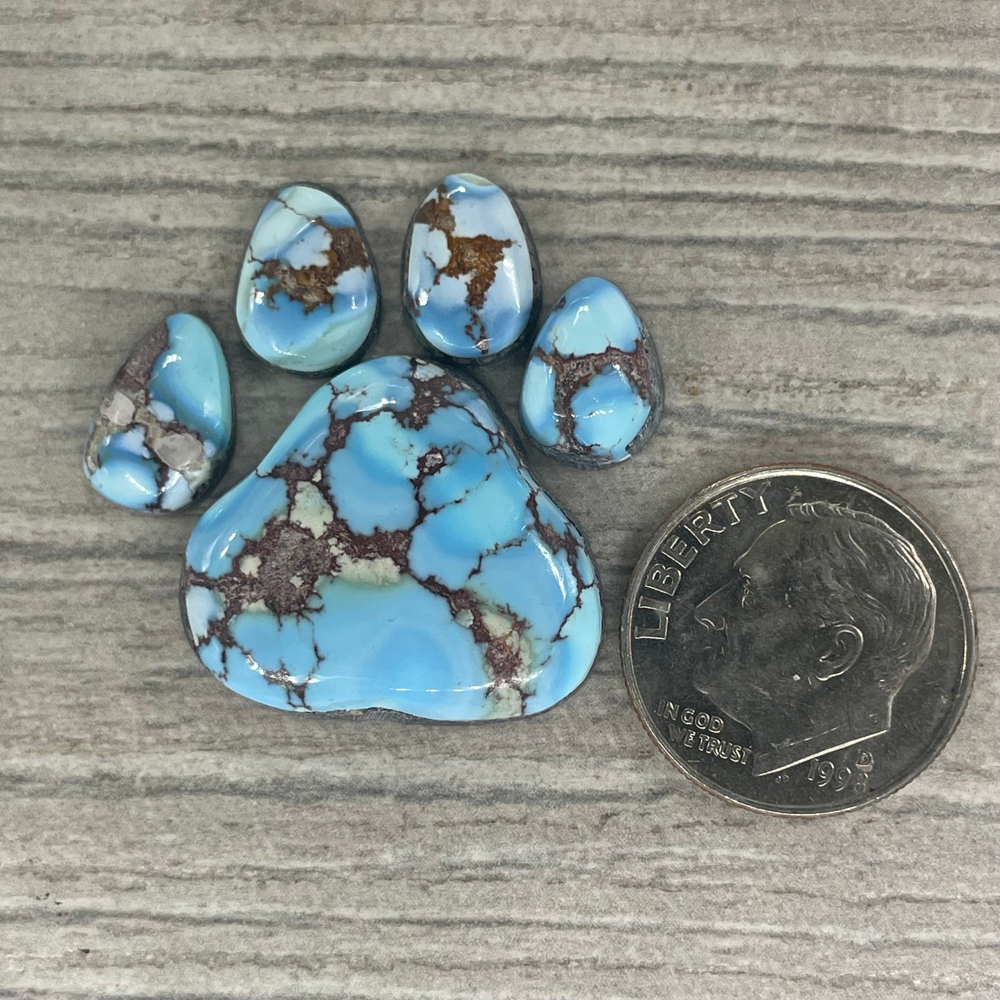Golden Hill Paw