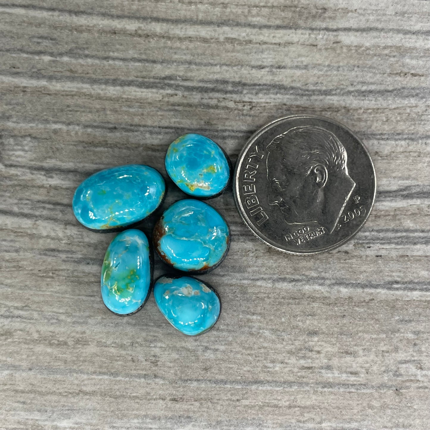 Sonoran Mountain Minis