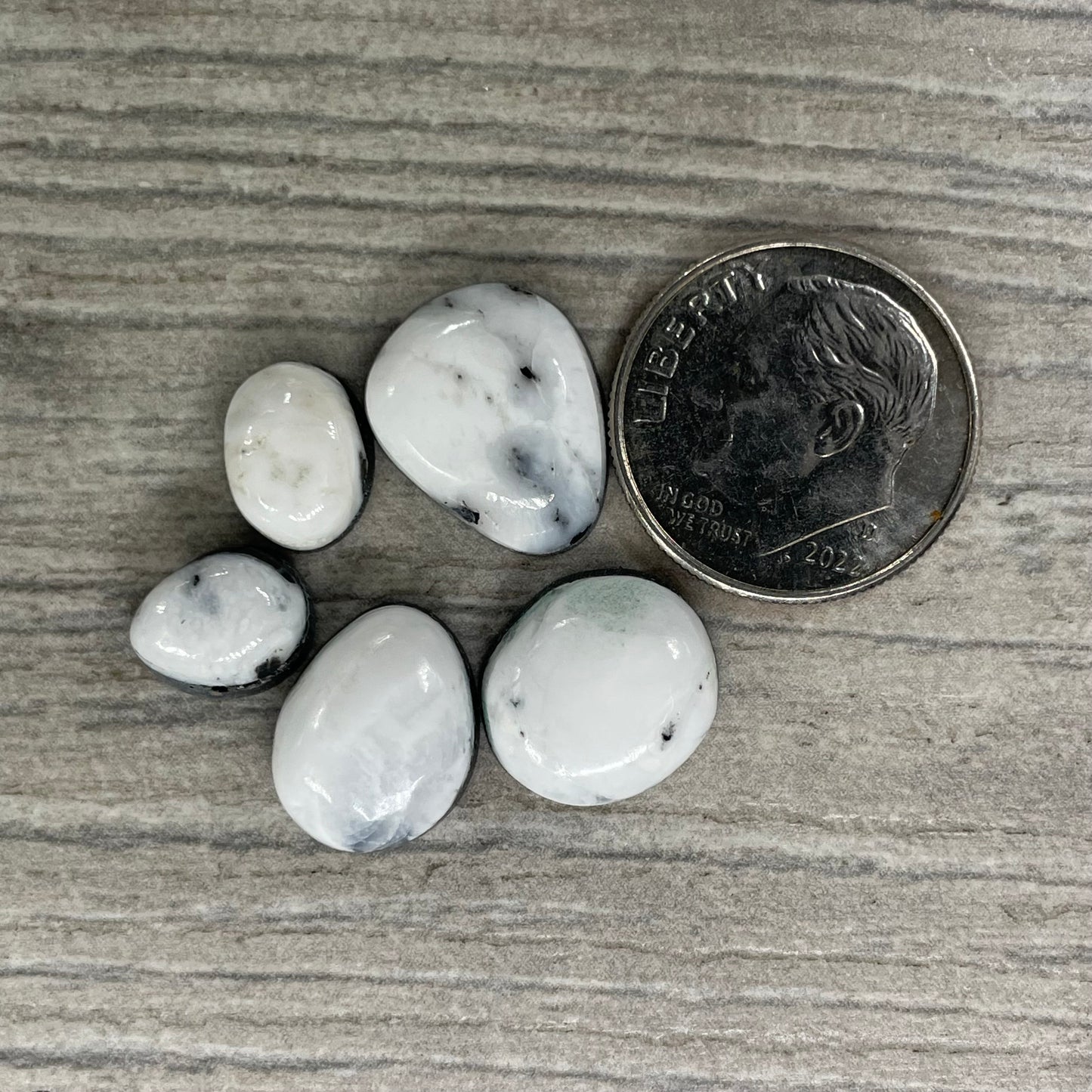 White Buffalo Minis