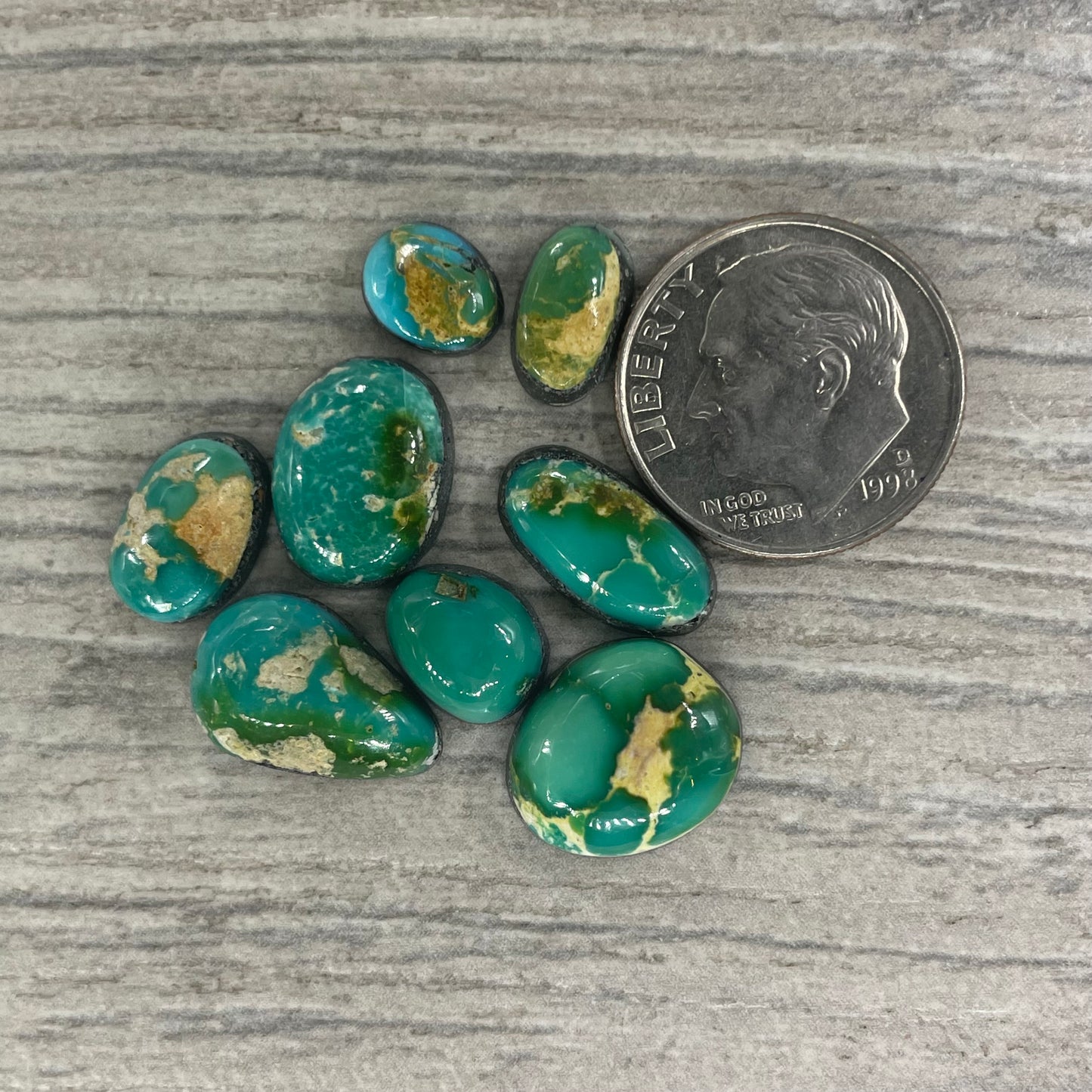 Sonoran Mountain Minis