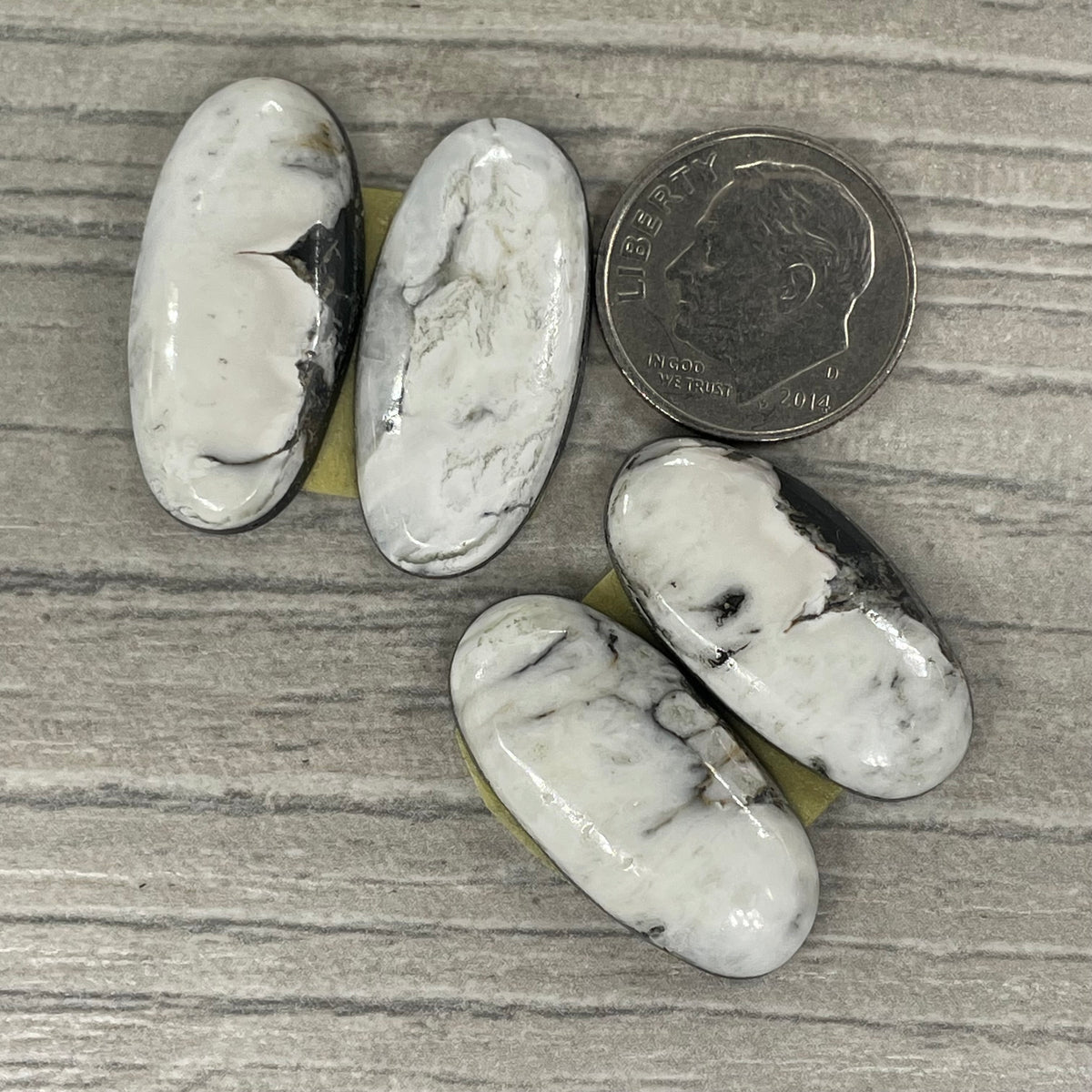 White Buffalo Earring Pairs