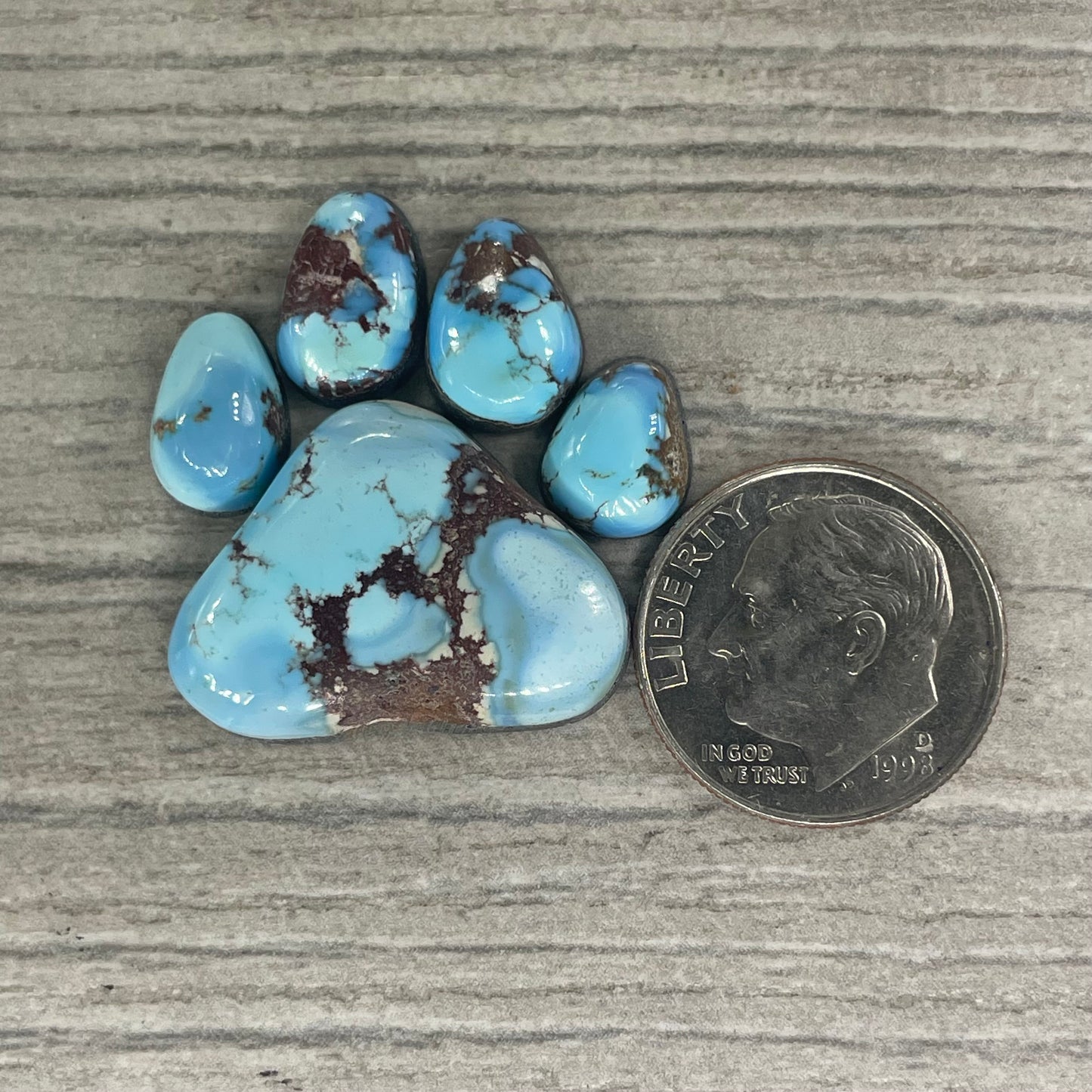 Golden Hill Paw