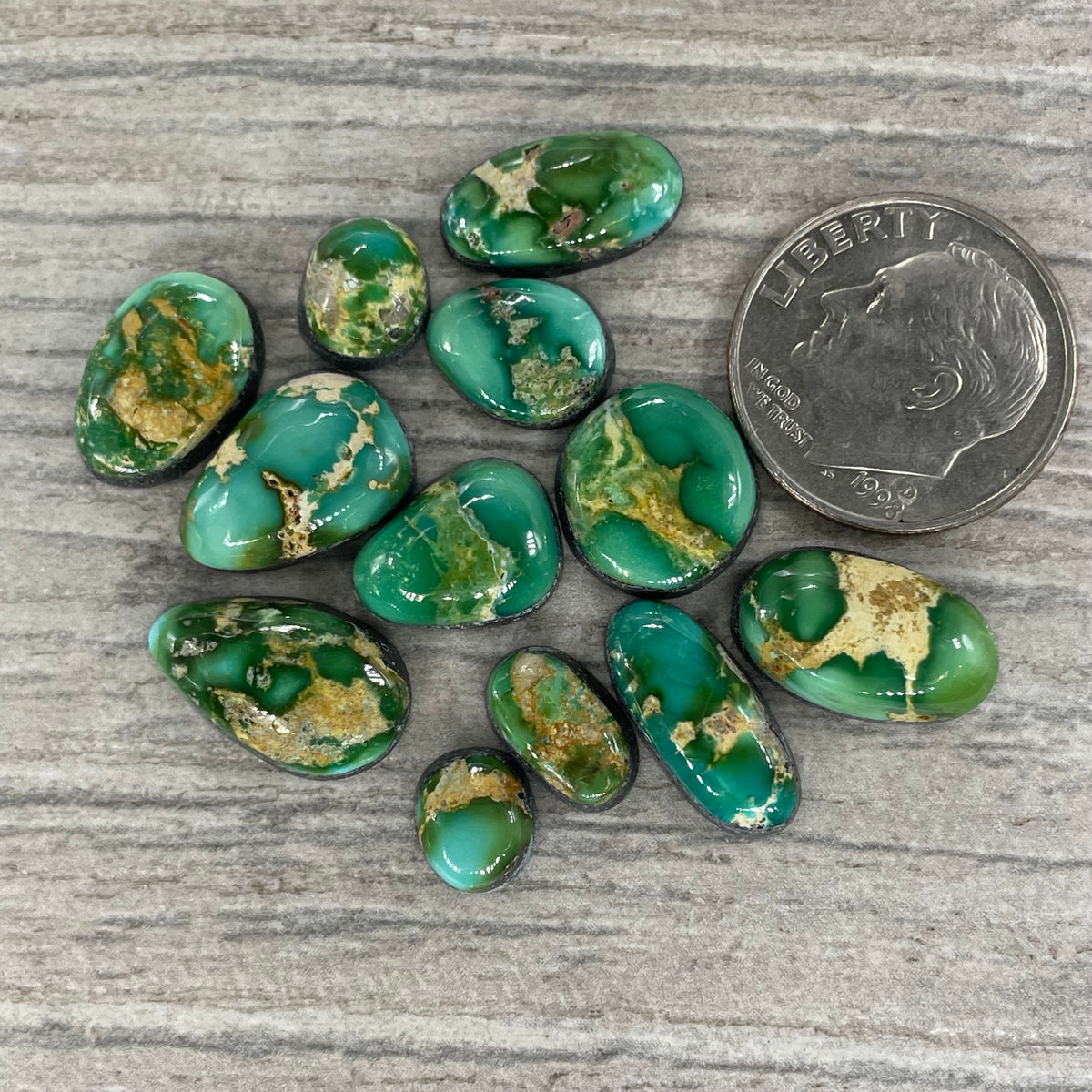 Sonoran Mountain Minis