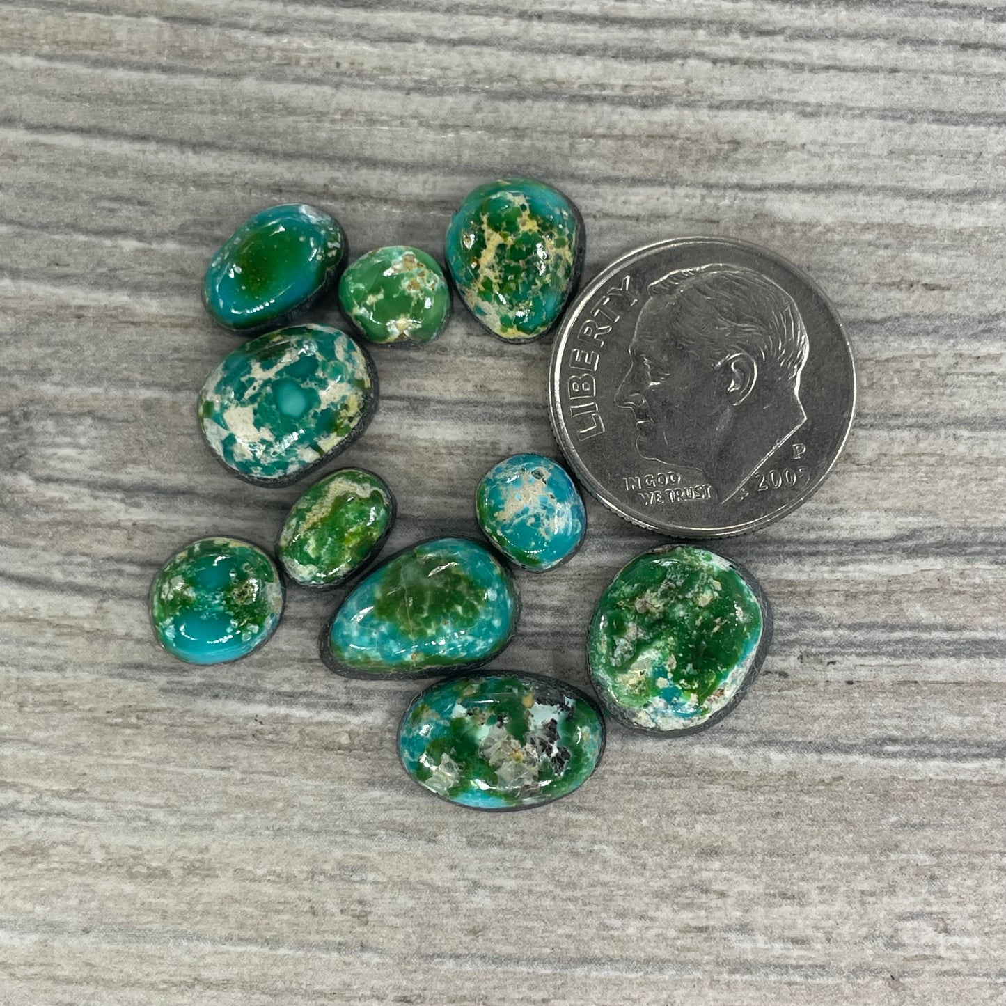 Sonoran Mountain Minis