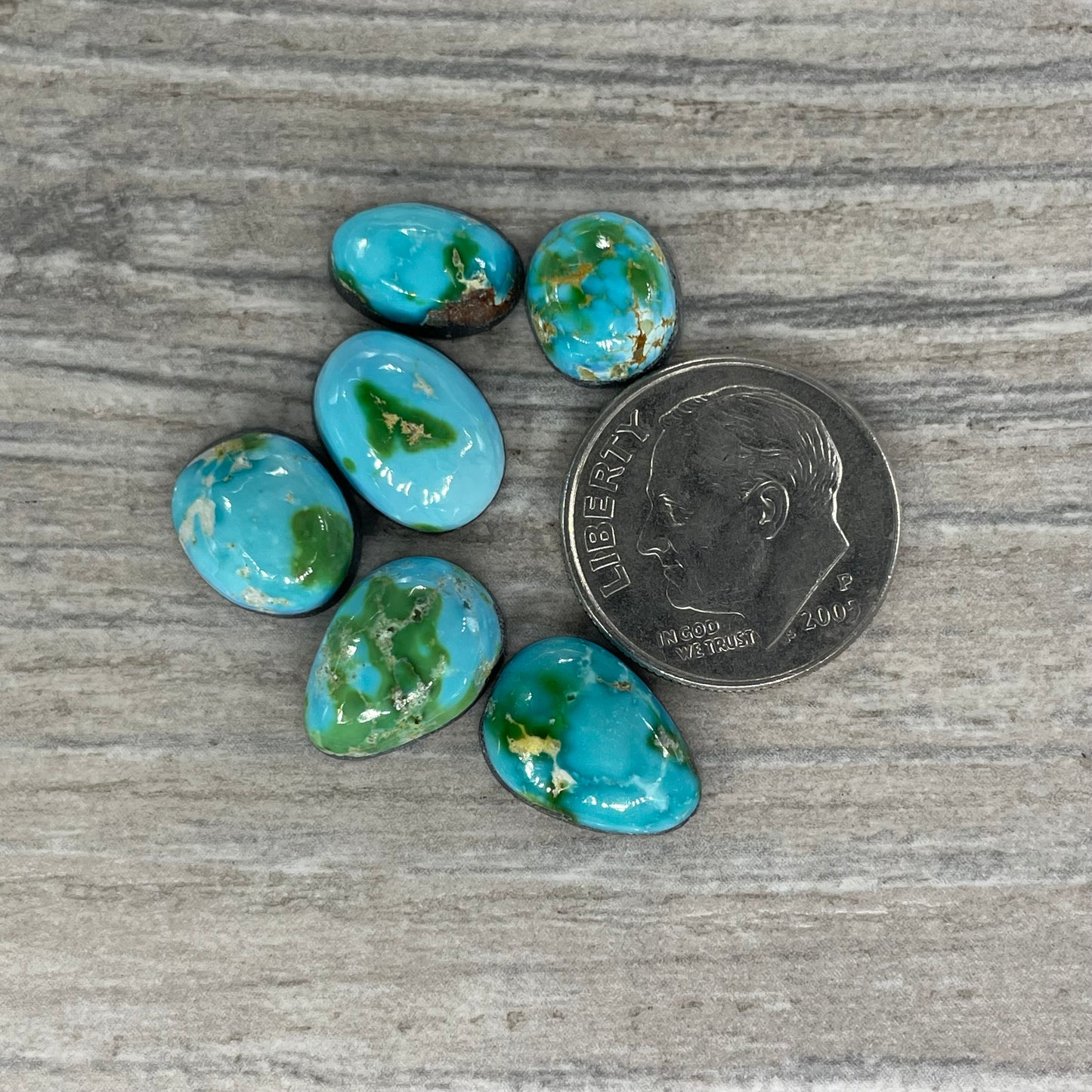 Sonoran Mountain Minis
