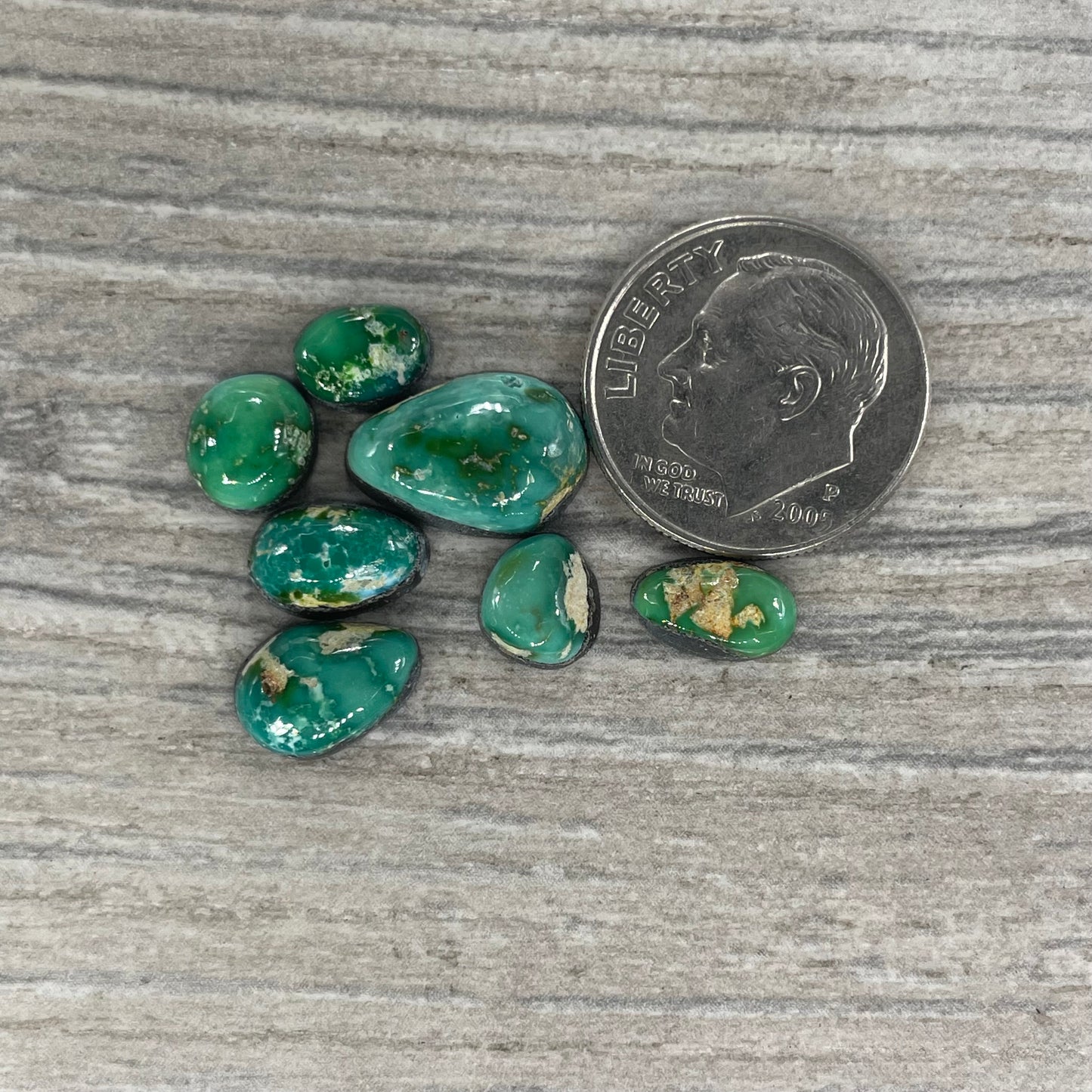 Sonoran Mountain Minis