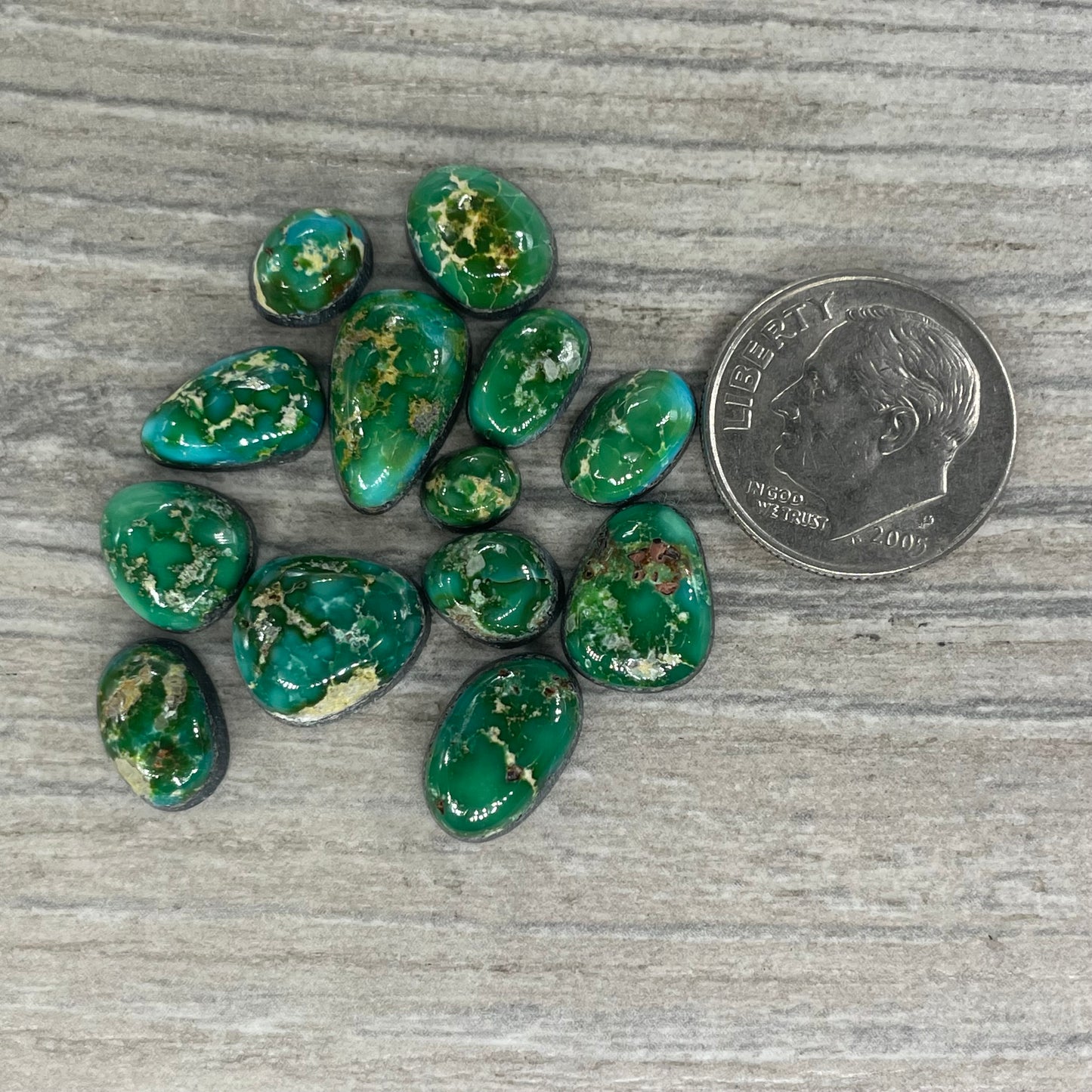 Sonoran Mountain Minis