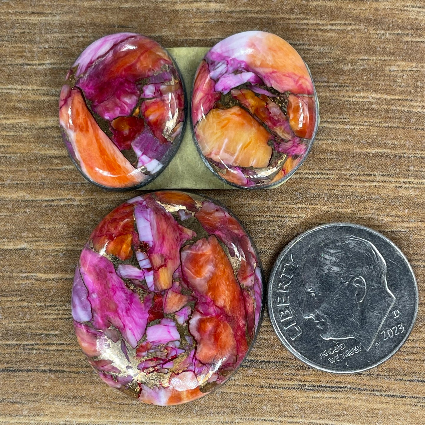 Starburst Spiny Oyster