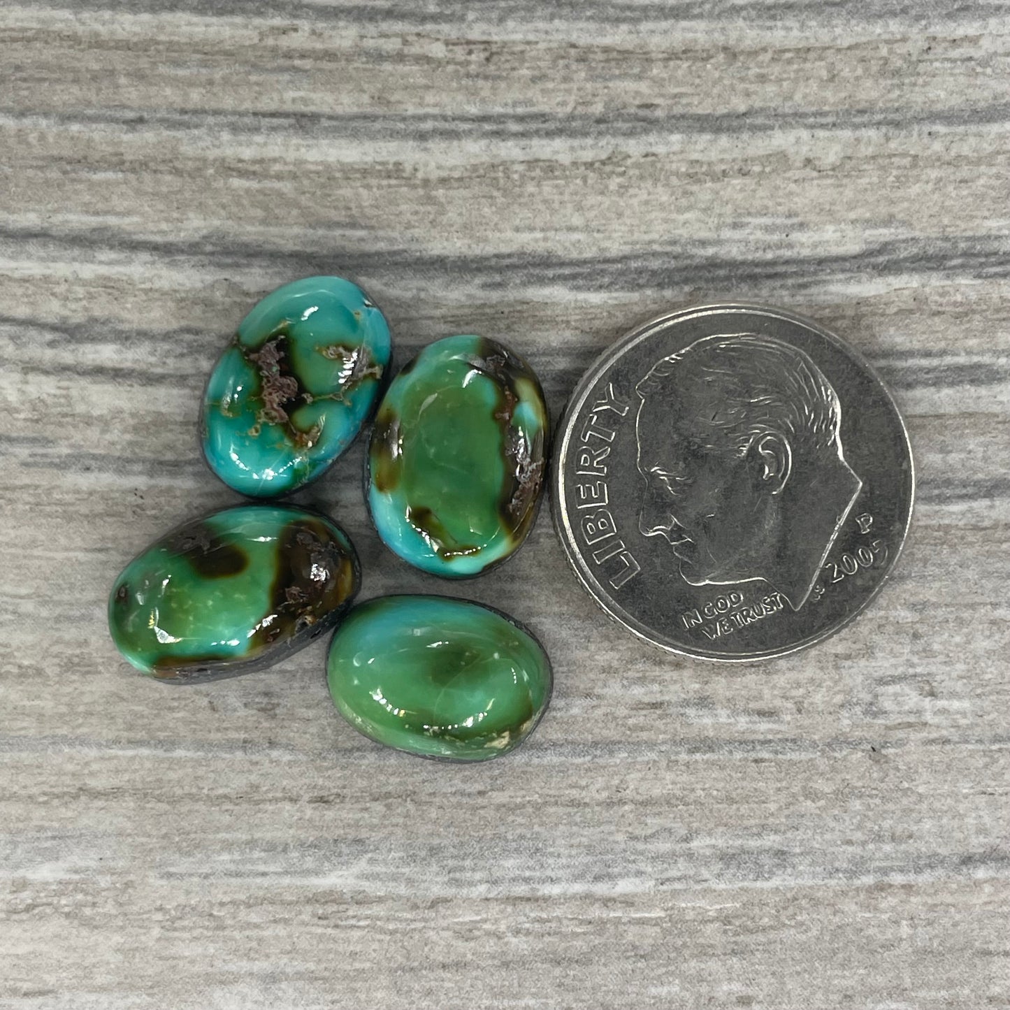 Sonoran Mountain Minis
