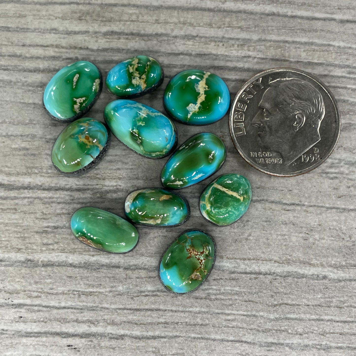 Sonoran Mountain Minis