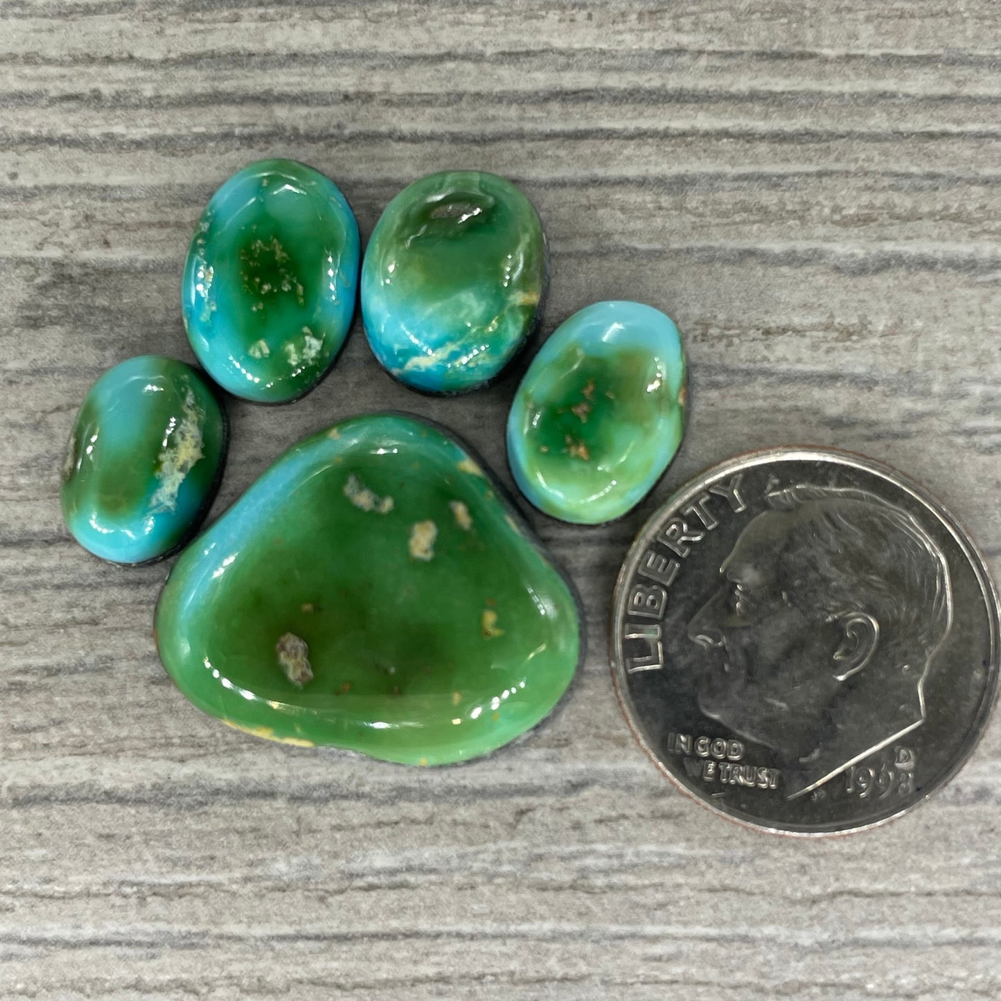 Sonoran Mountain Paw