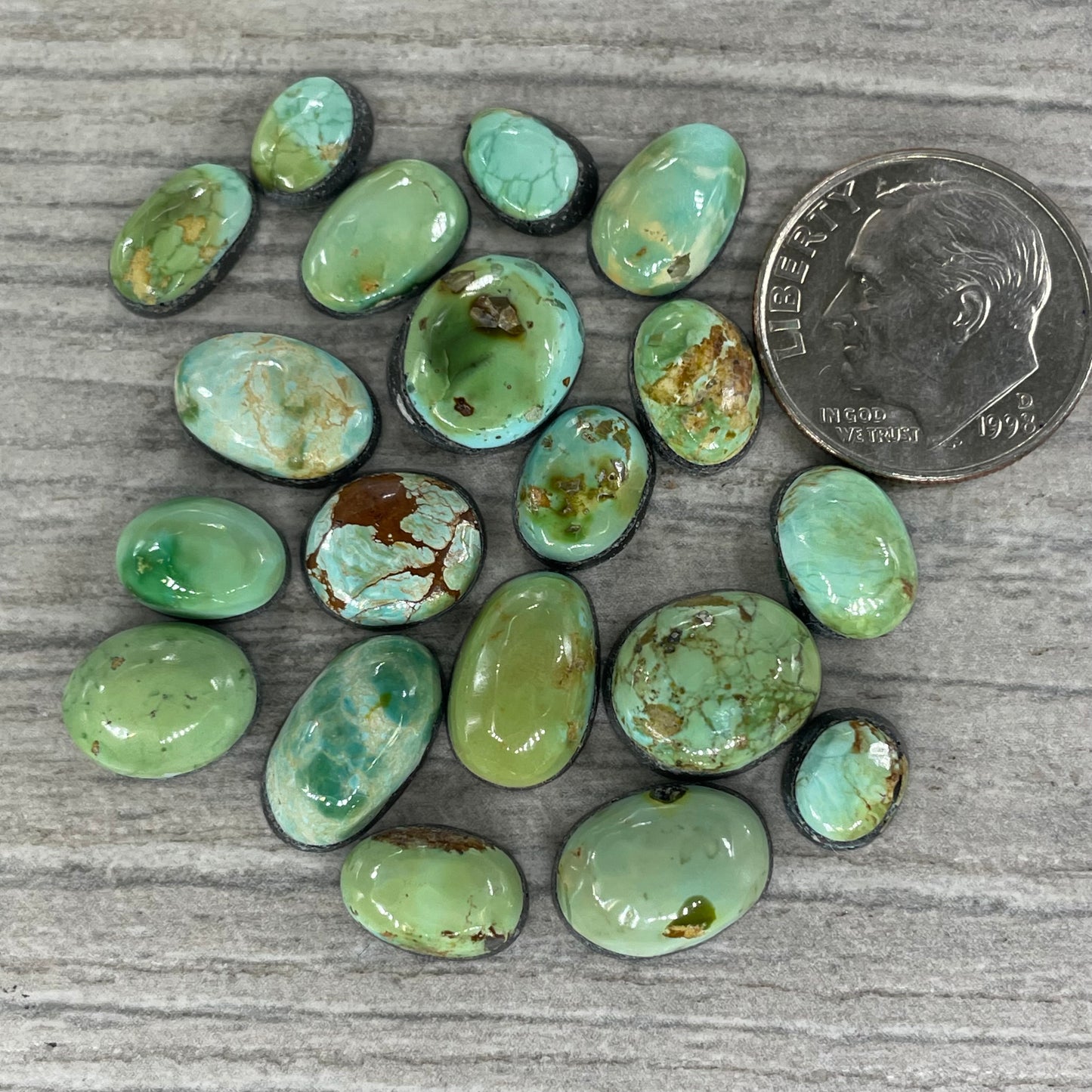 Sonoran Mountain Minis