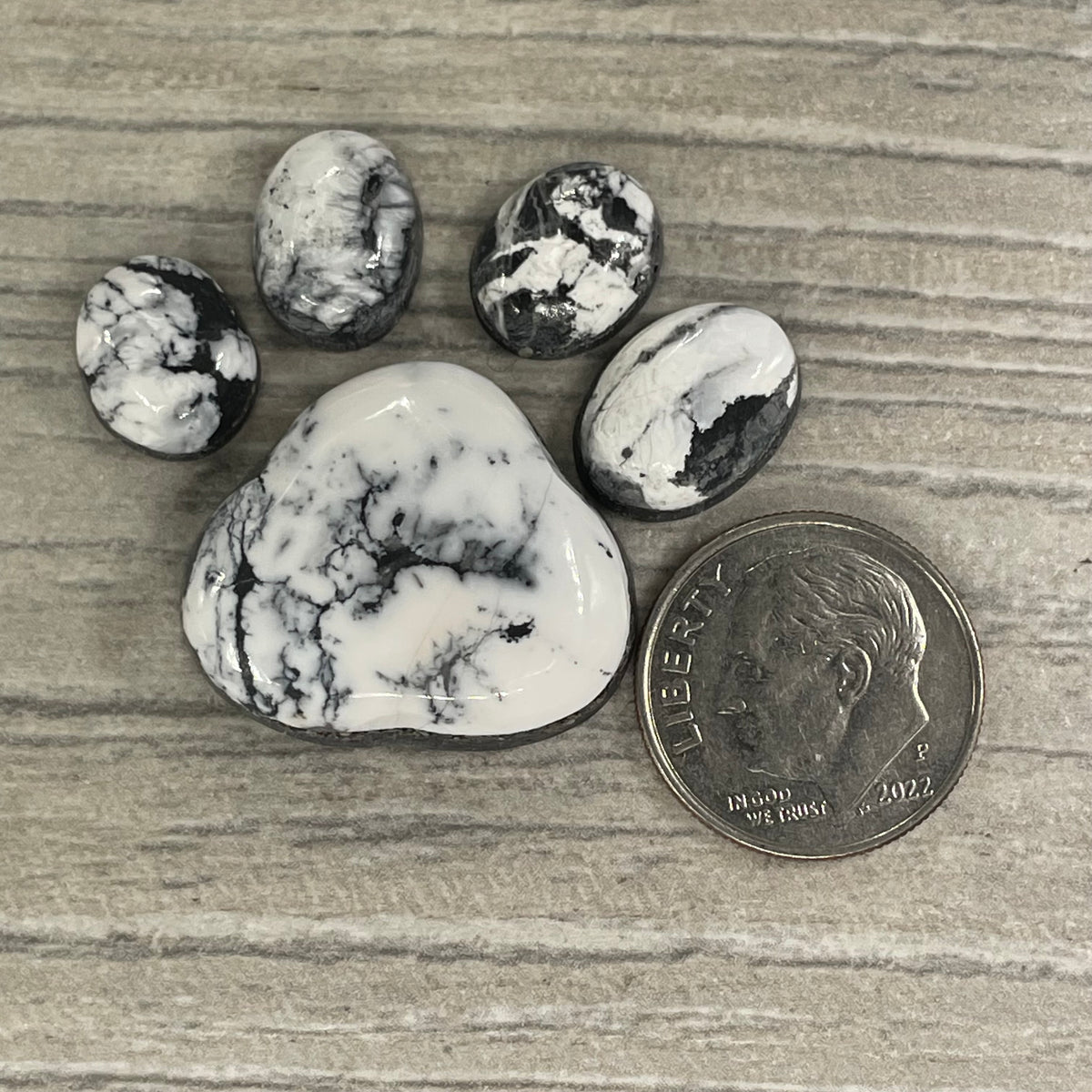 White Buffalo Paw