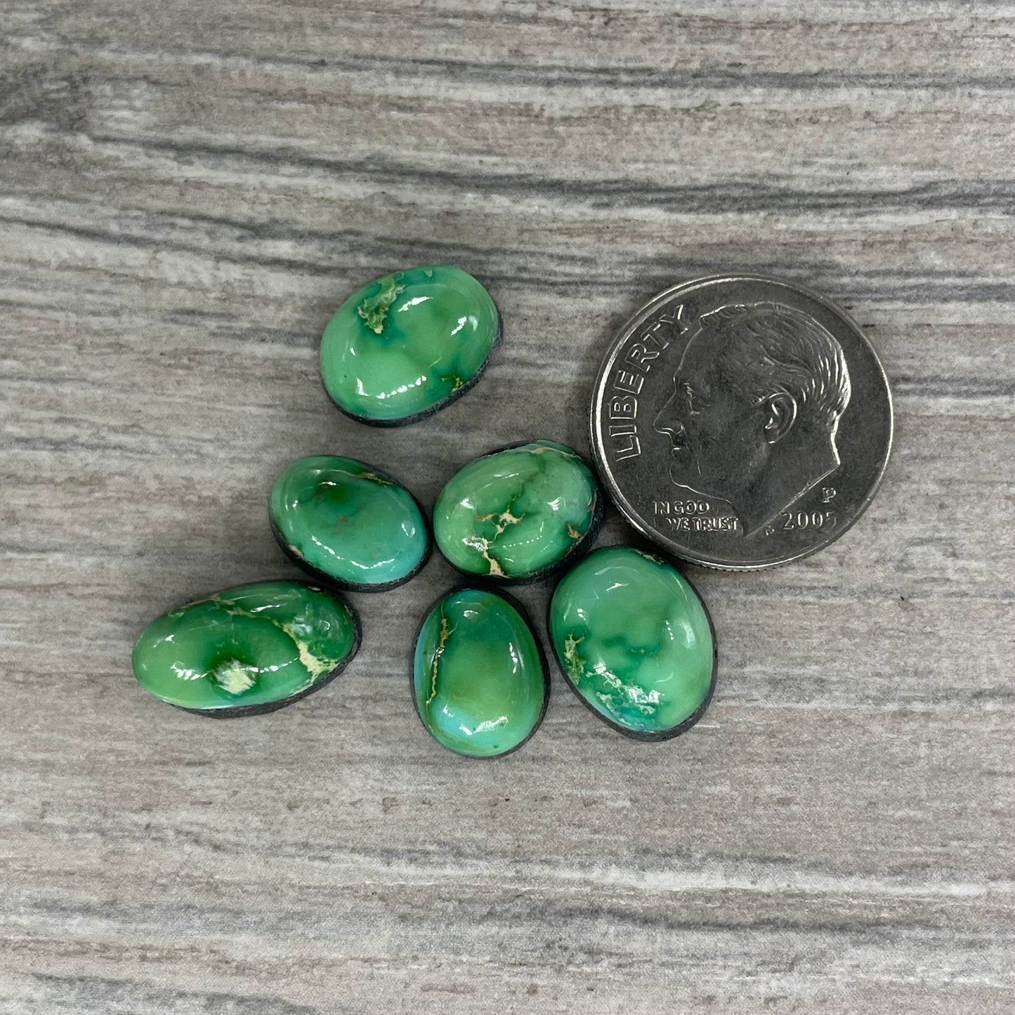 Sonoran Mountain Minis