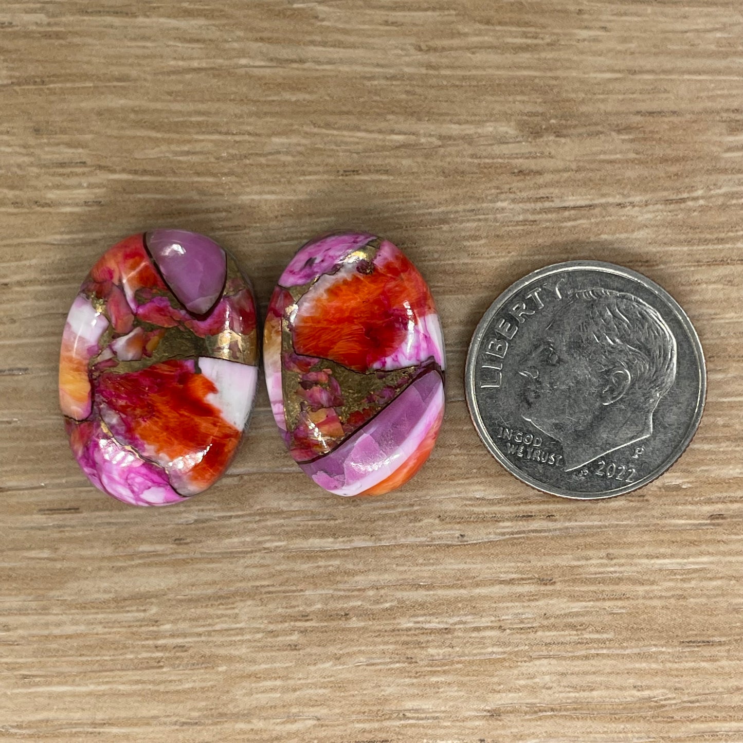 Starburst Spiny Oyster