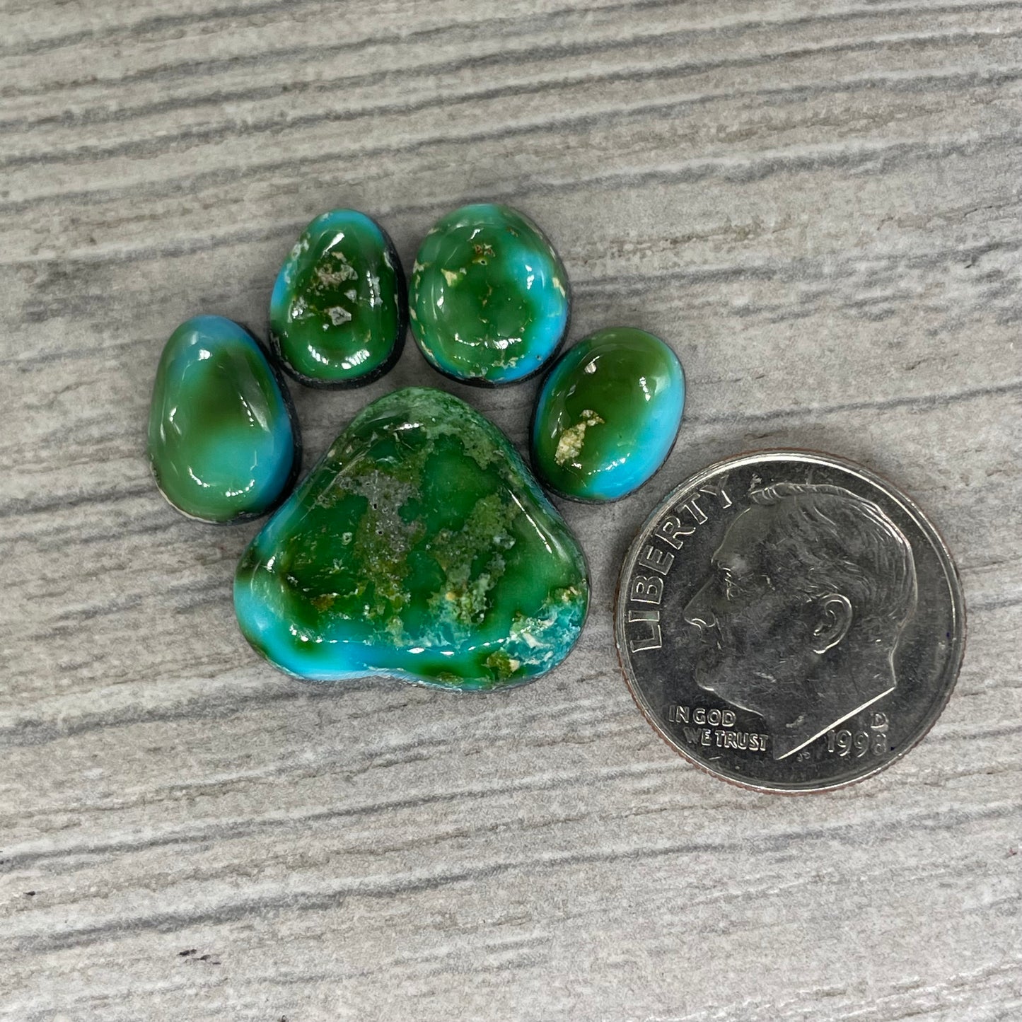 Sonoran Mountain Paw