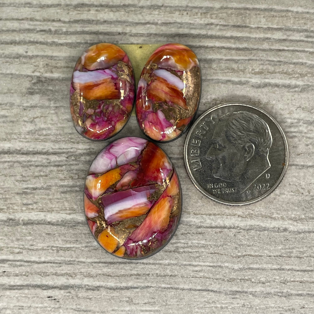 Starburst Spiny Oyster