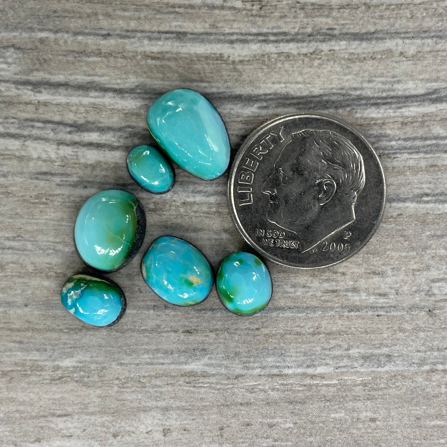 Sonoran Mountain Minis