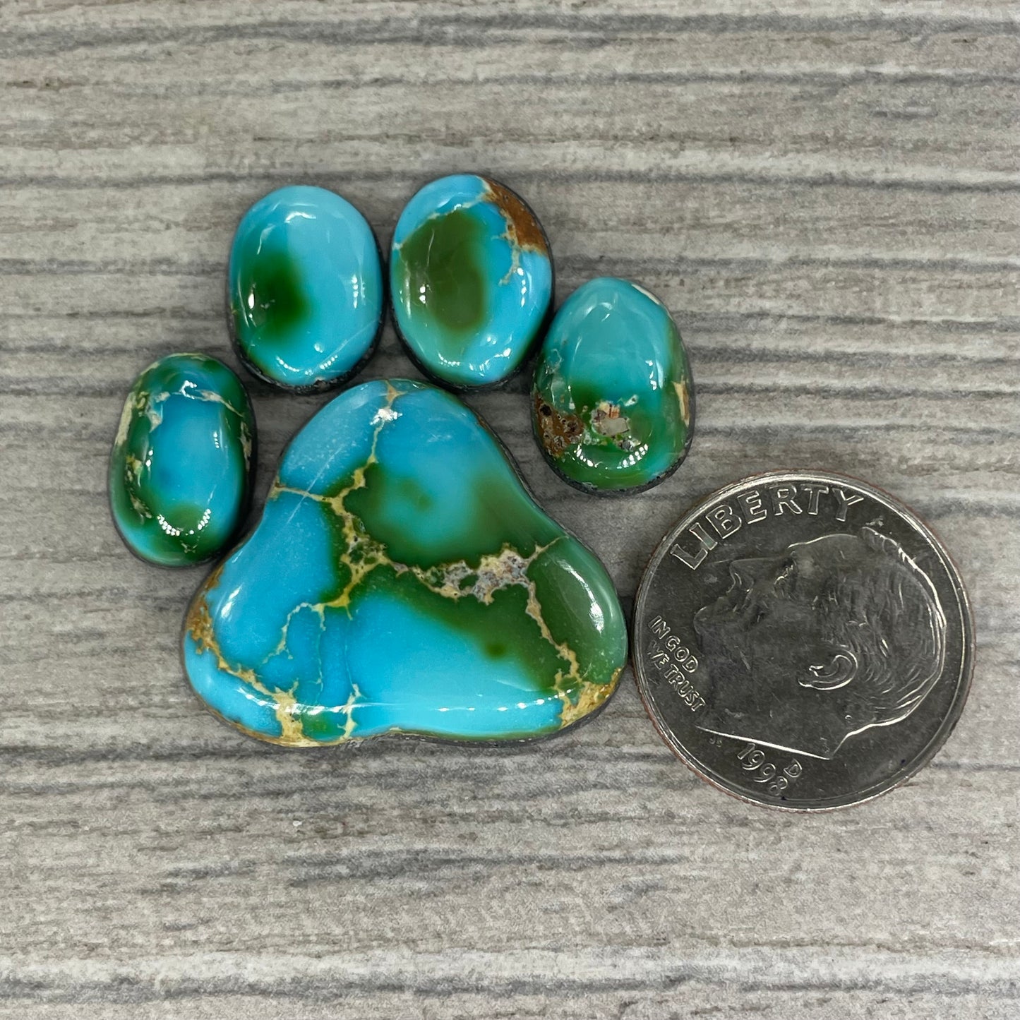 Sonoran Mountain Paw