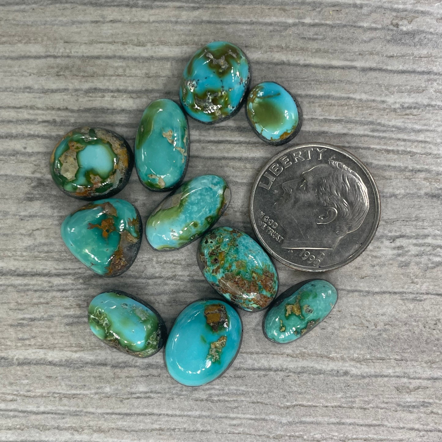 Sonoran Mountain Minis