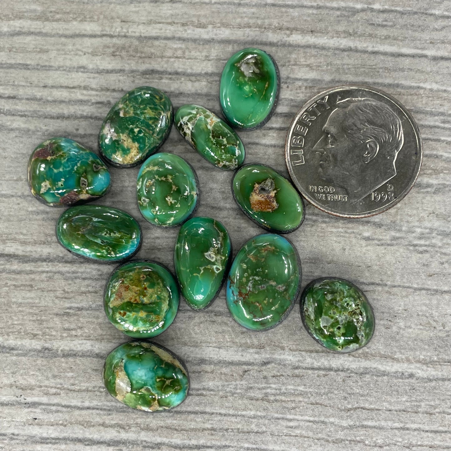 Sonoran Mountain Minis