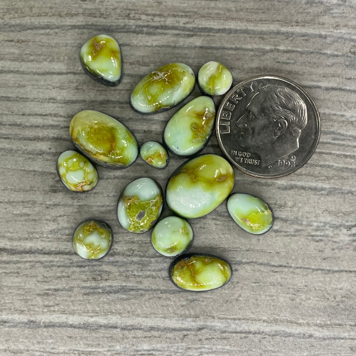 Palomino Minis